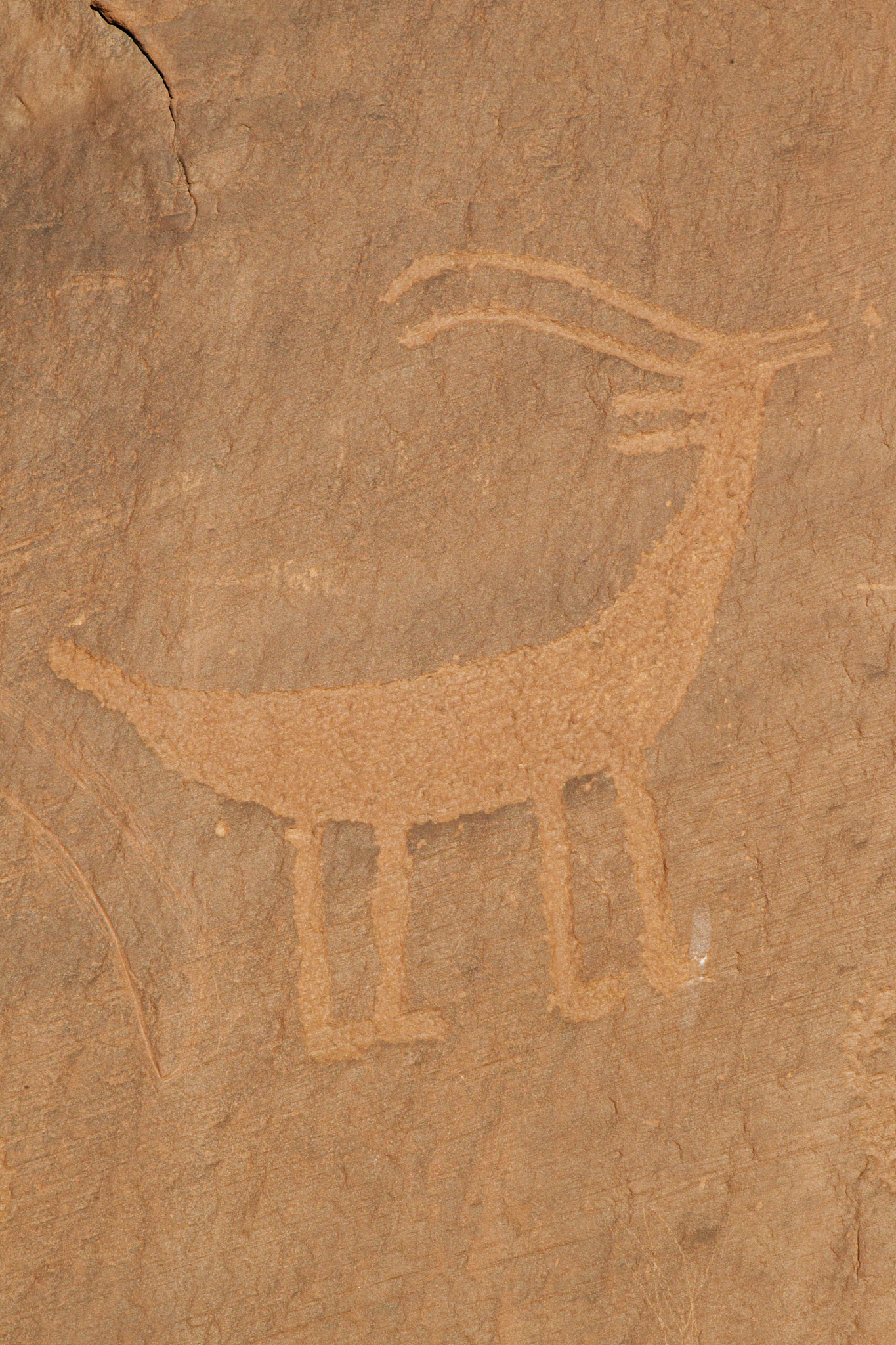 petroglyphs at monument valley