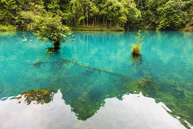 荔波中等职业学校2021年招生简章 - 优质教育，成就未来