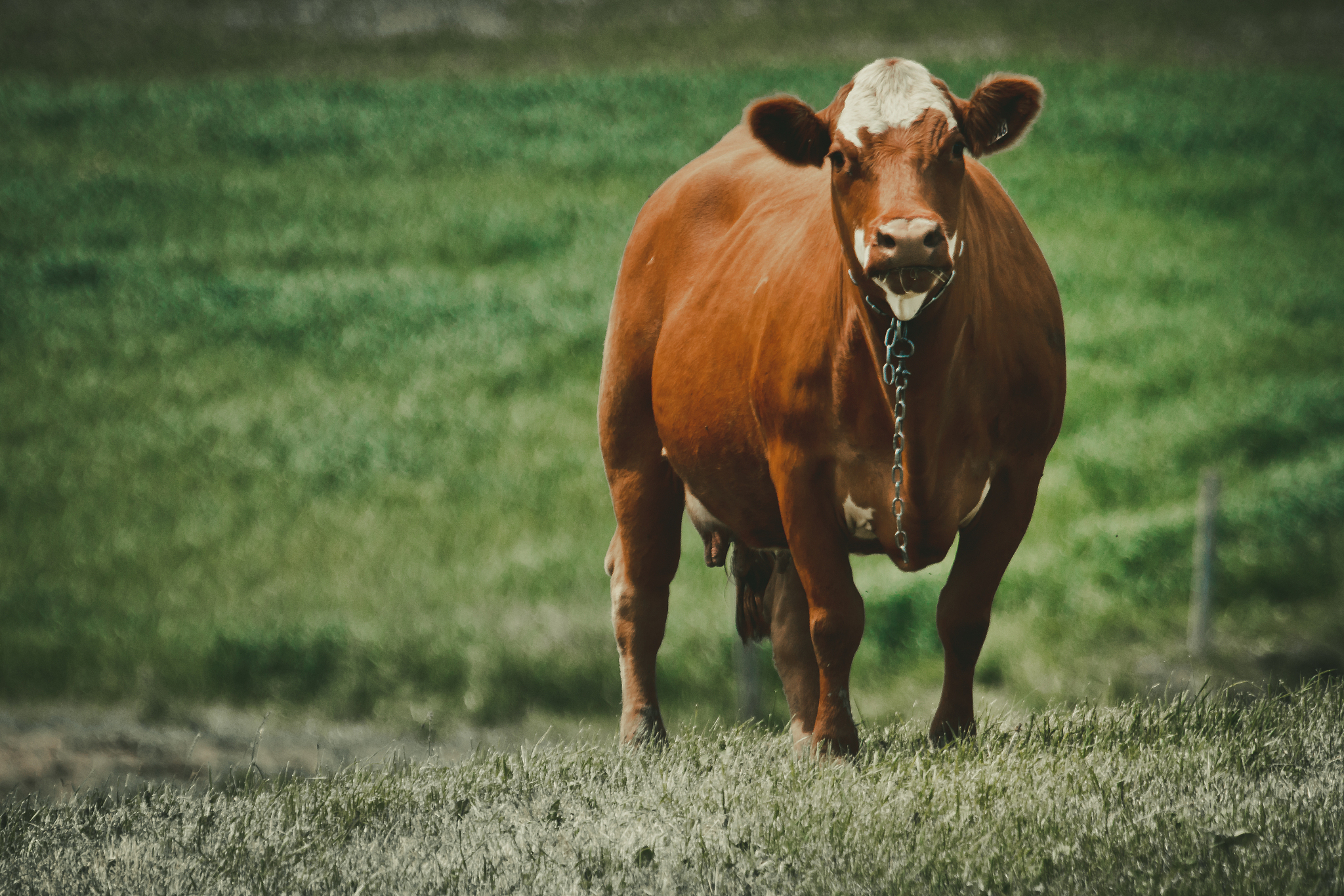 帮我生成一个云平台测试用例表