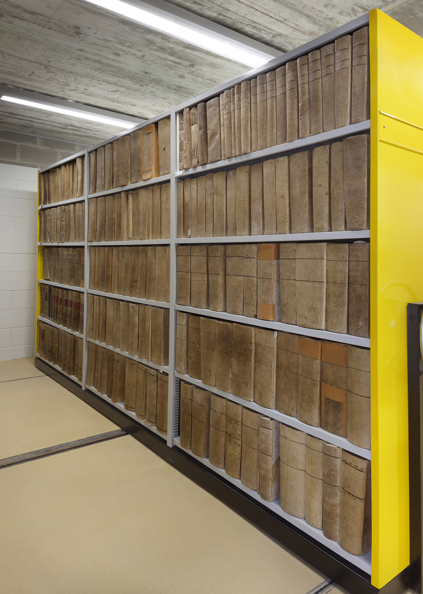 仓库文员见习日志第六天字数250字