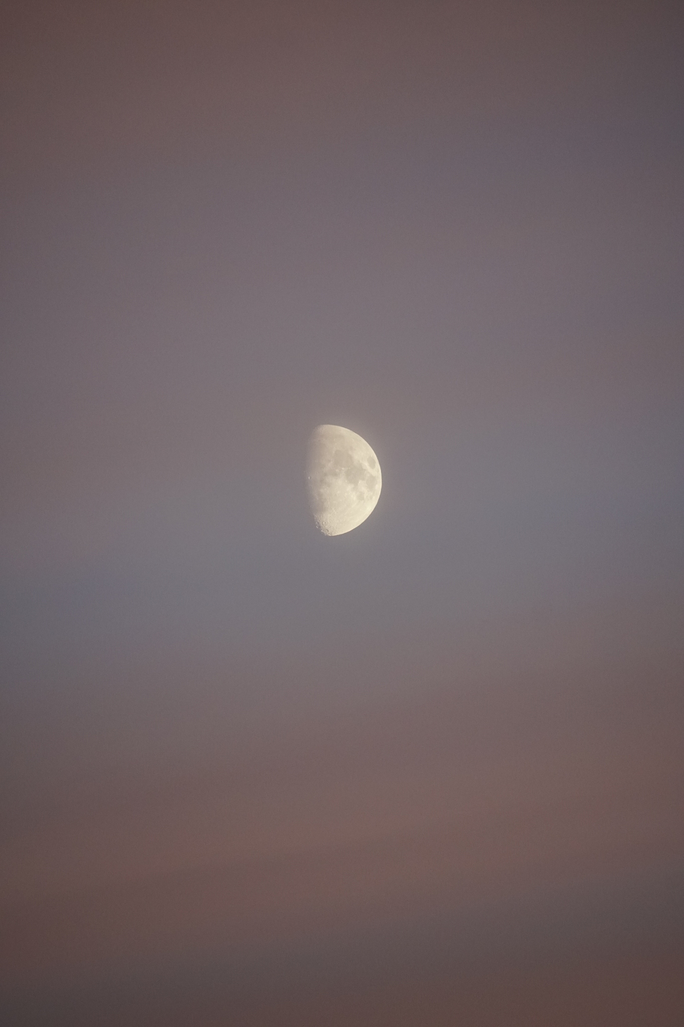 autumn. november. evening sky and rising moon.