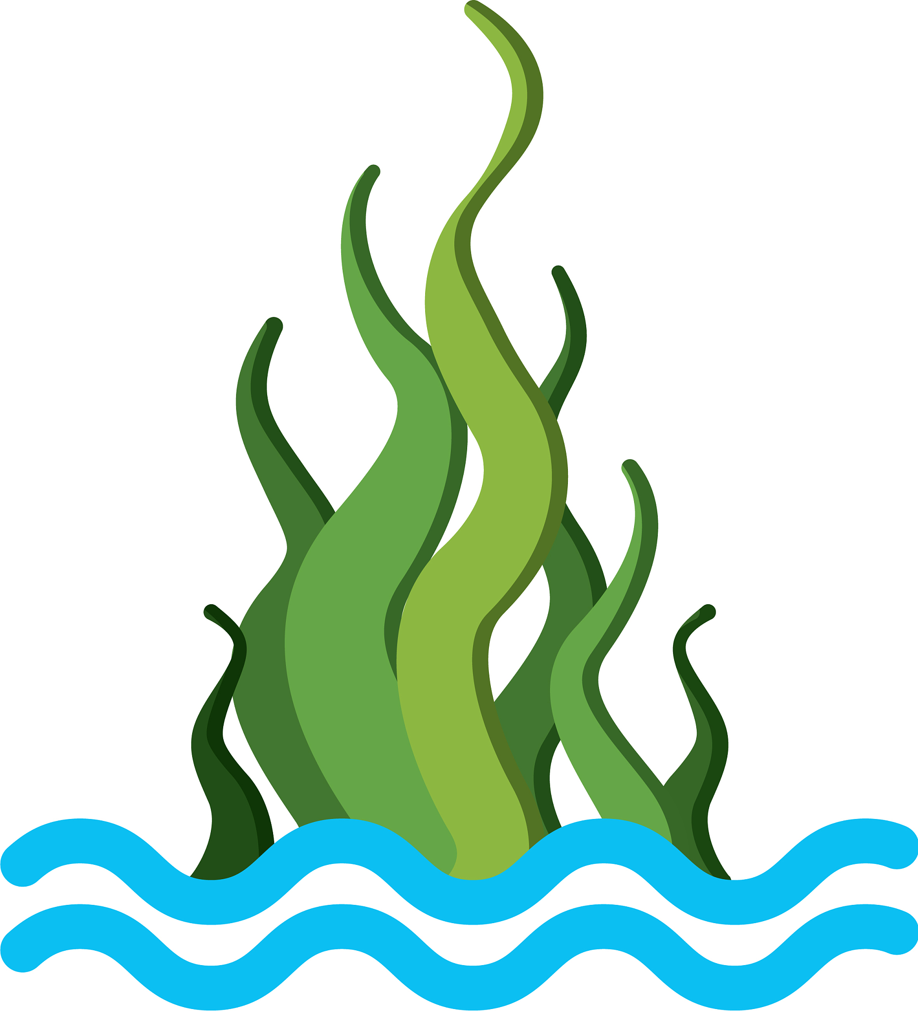 marine seaweed sealife icon
