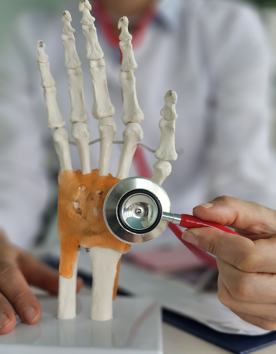 Pinky MCP: 手指骨骼名称解释