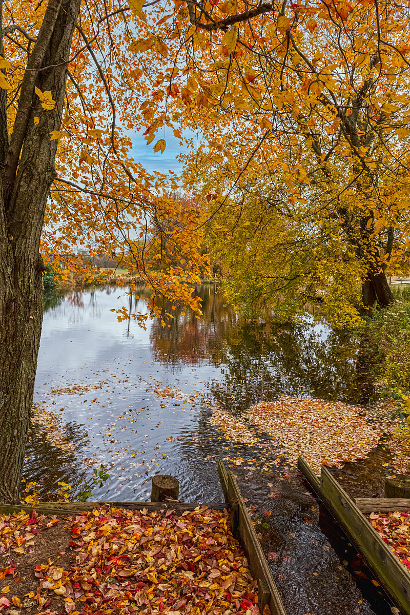 秋思 | 唐诗 | 秋天美景与人生感悟