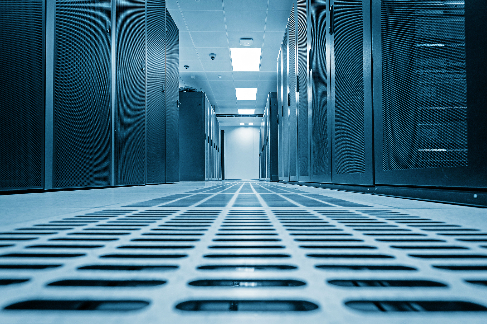 读成都五月花计算机应用及技术专业出来能做什么