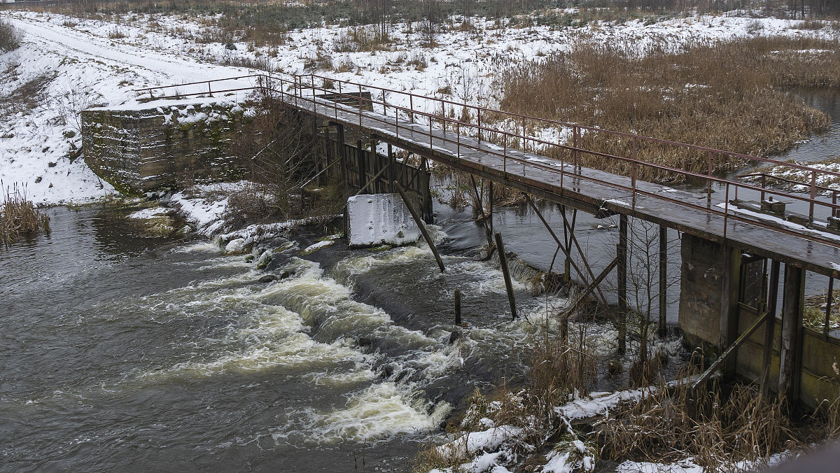 乡村美景：清新空气、田园风光、自然生机