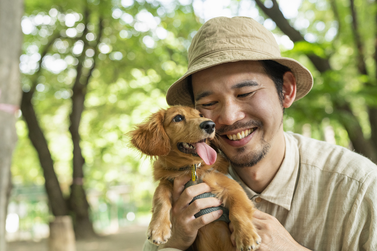 宠物陪伴：毛茸茸的治愈力量，如何温暖你的每一天