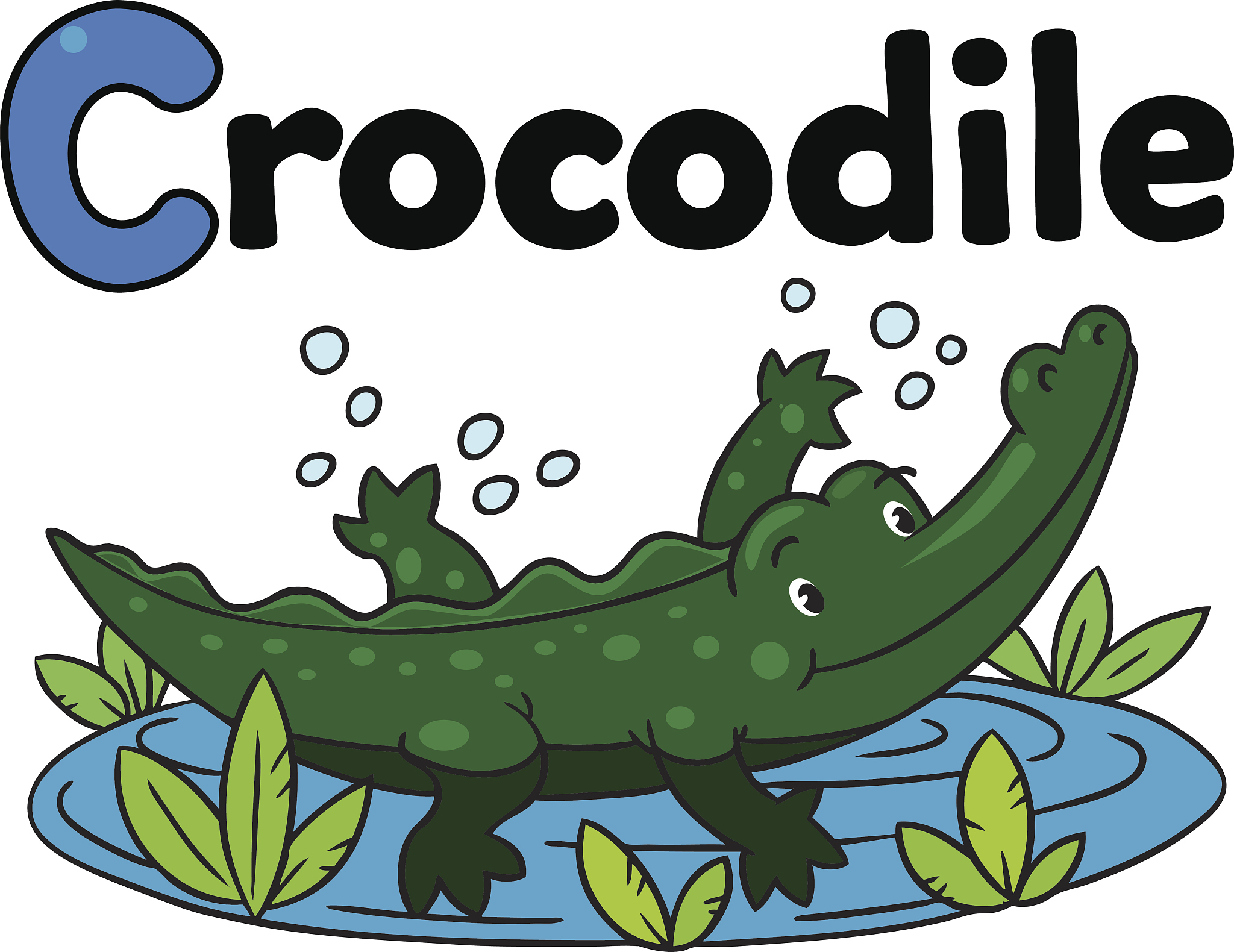 如何从音形义三方面教小学生鳄鱼这个英文单词