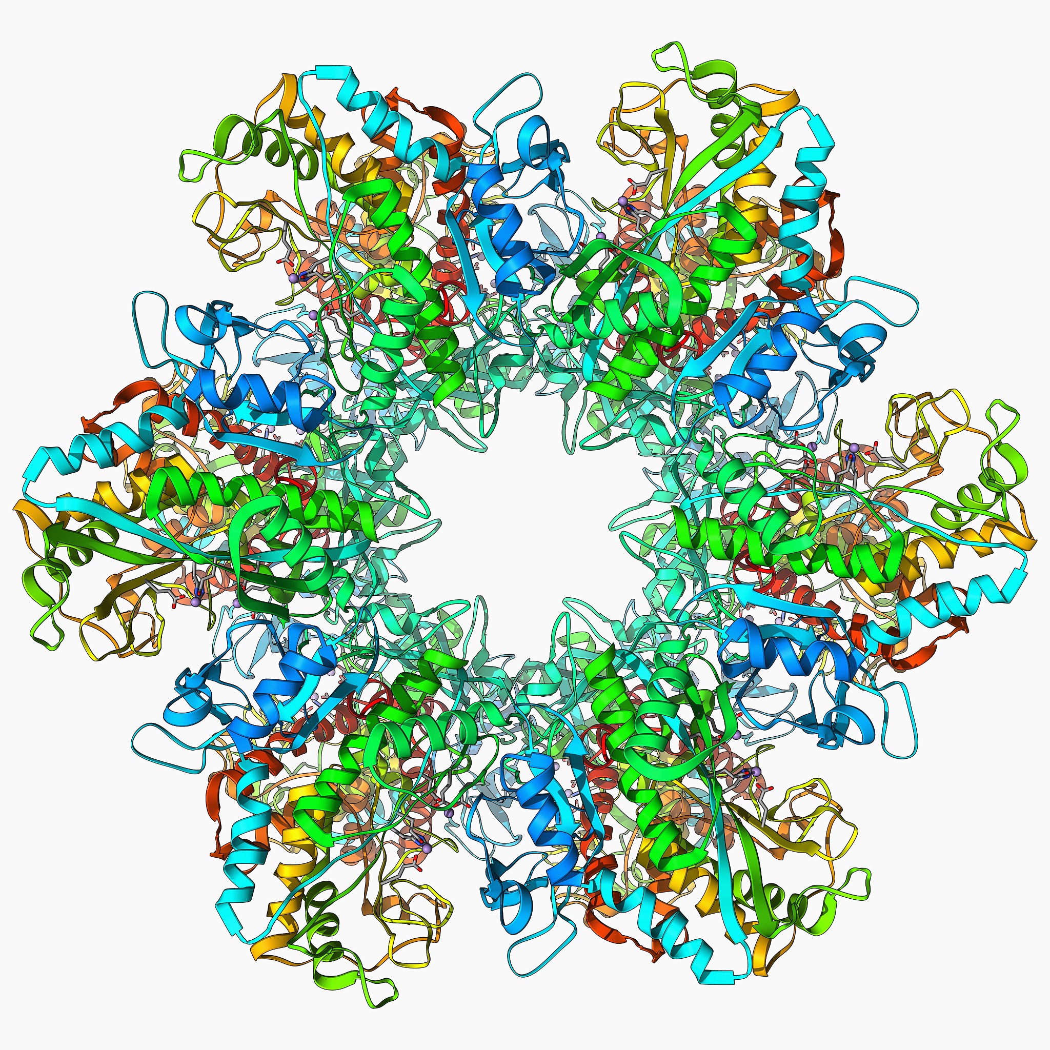 苹果是全球重要的水果之一树龄偏高造成的树势衰弱严重影响苹果产量和品质。ACC脱氨酶是参与乙烯代谢的重要酶为了明确苹果根内具ACC脱氨酶和解磷功能内生细菌的生物学效应