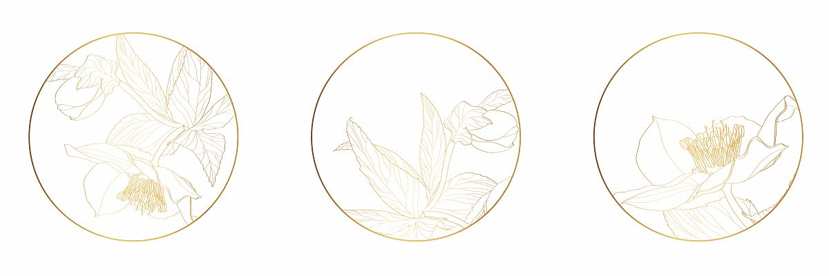 伊春职业学院网站有哪些