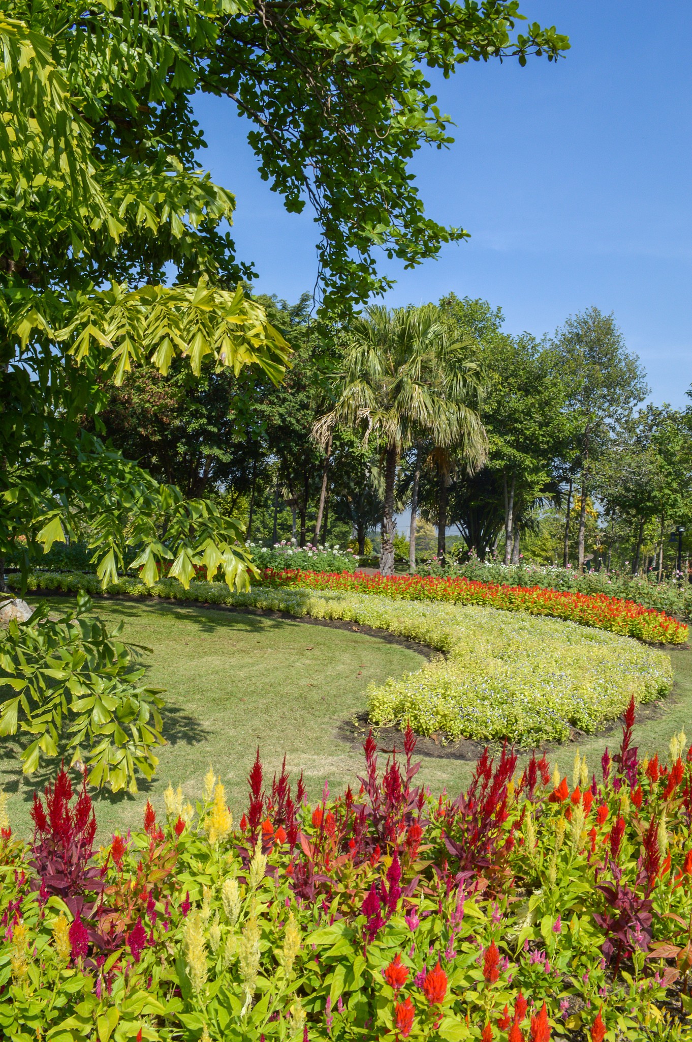 潍坊职业学院园林工程技术专业如何好学吗
