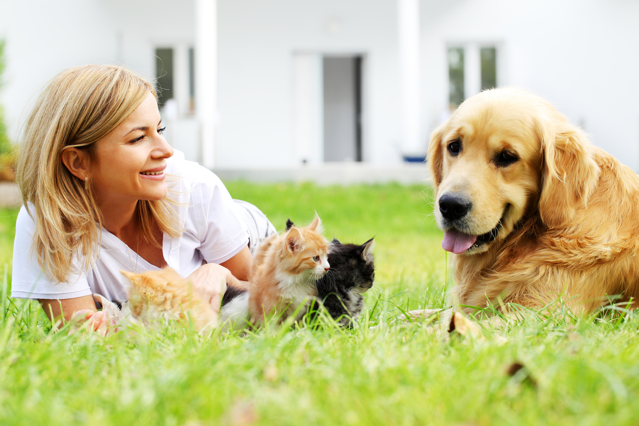 宠物成为家庭成员的4大理由：陪伴、治疗、教育、社交