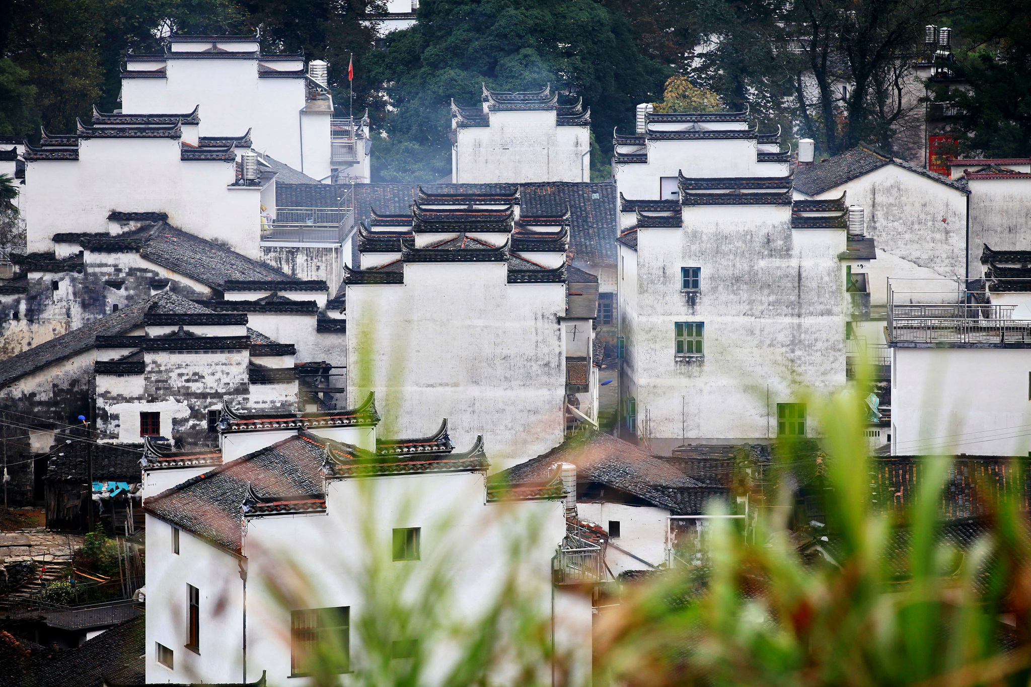 你能帮我想一档有关徽的科教的电视节目名称吗