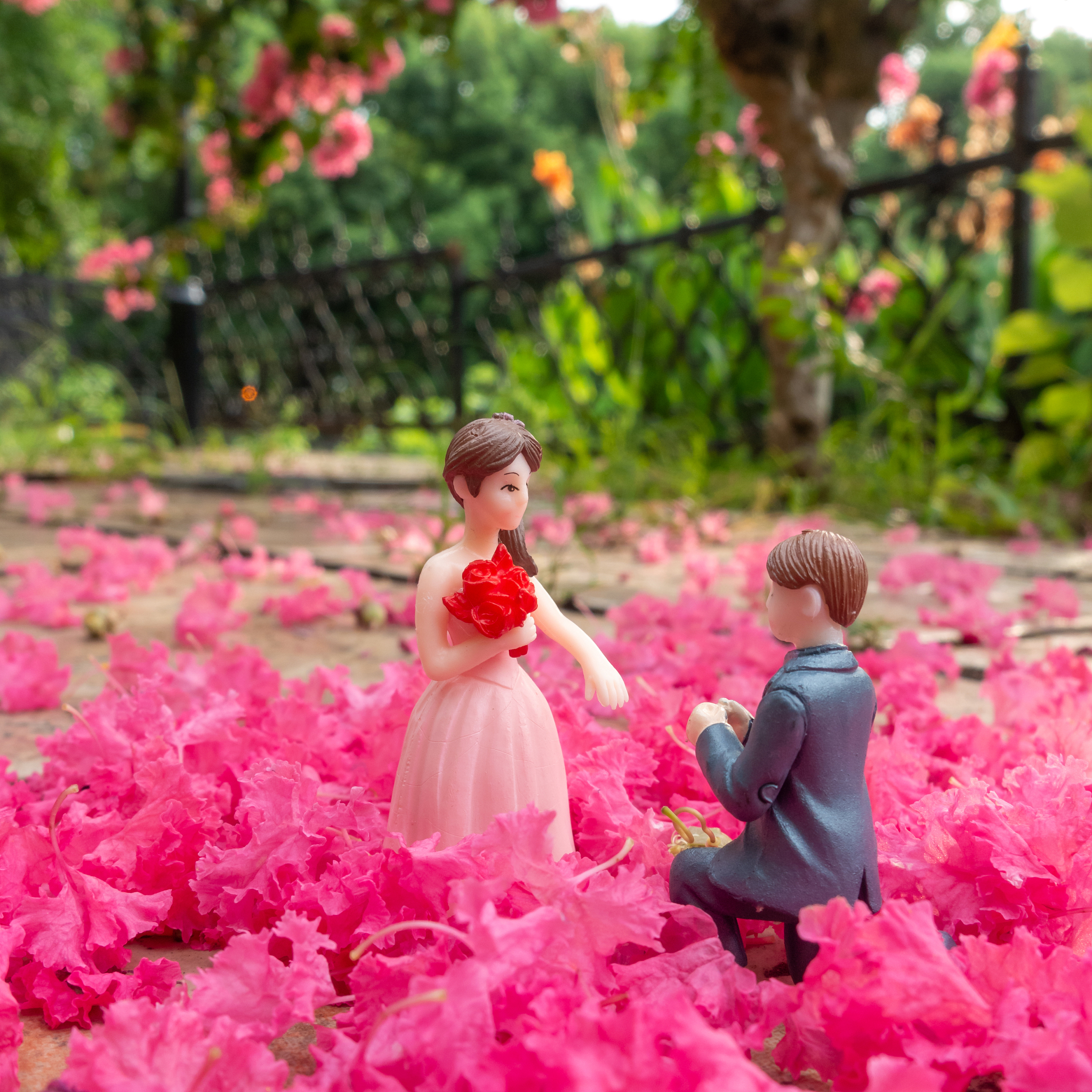 假如郭俊宁是一名十六岁男高中生想要向喜欢的女生曾某表白怎么才能让曾某同意