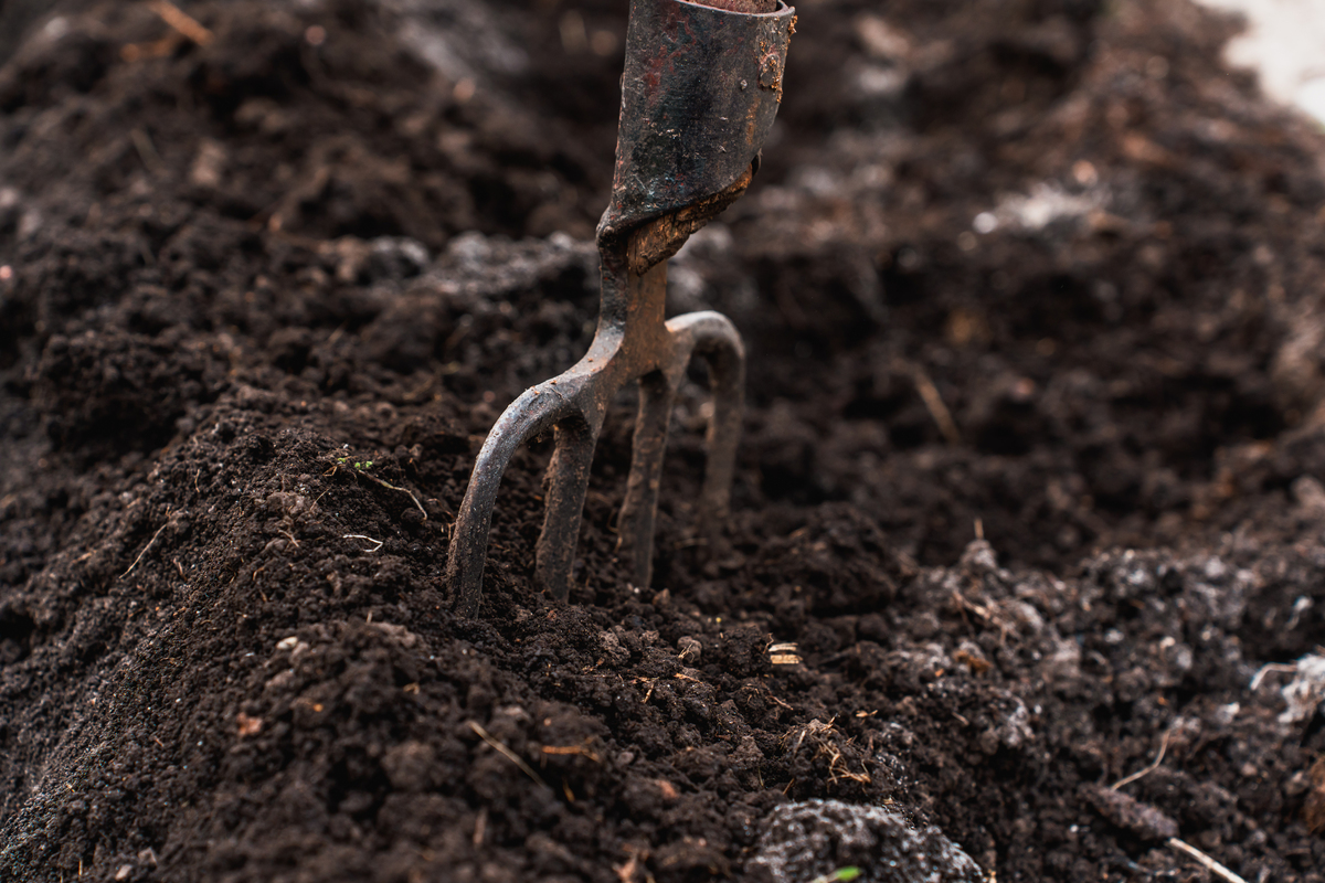 SOIL & TILLAGE RESEARCH期刊：土壤科学和耕作研究的权威平台