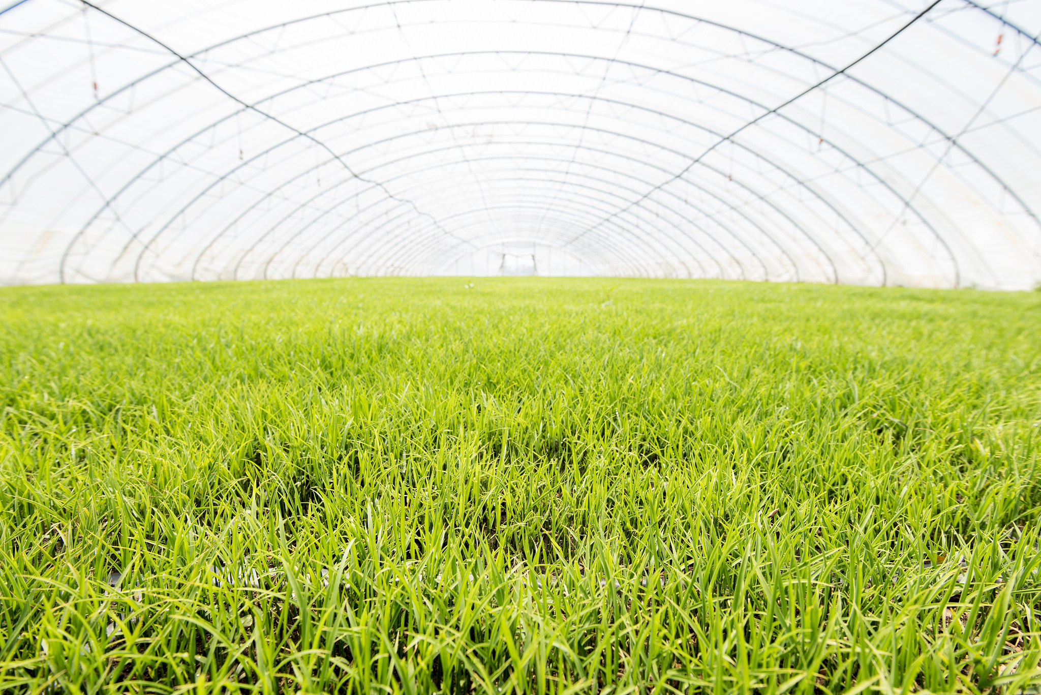 黑龙江农垦机械化学校农业机械使用与维护专业介绍