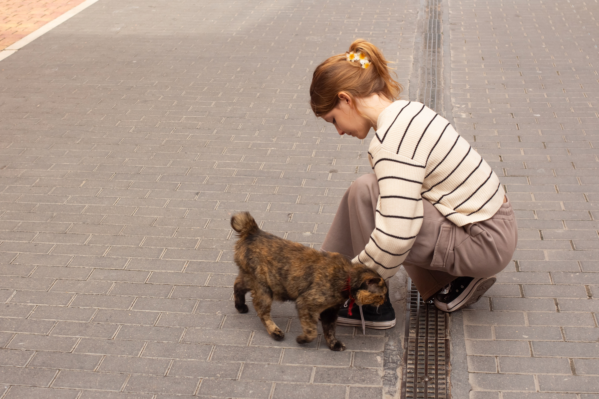以明知道猫猫狗狗只能陪伴我们人生的一段旅程养它就意味着别离和悲伤那么为什么要养宠物为题重新编写标题写一篇1100字文章