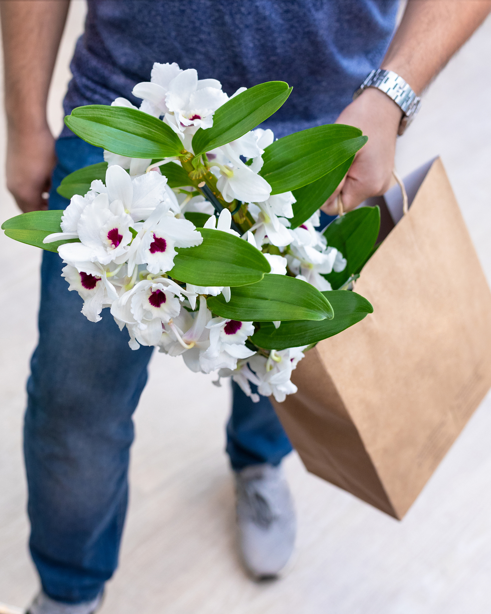 white dendrobium nobile orchid flower