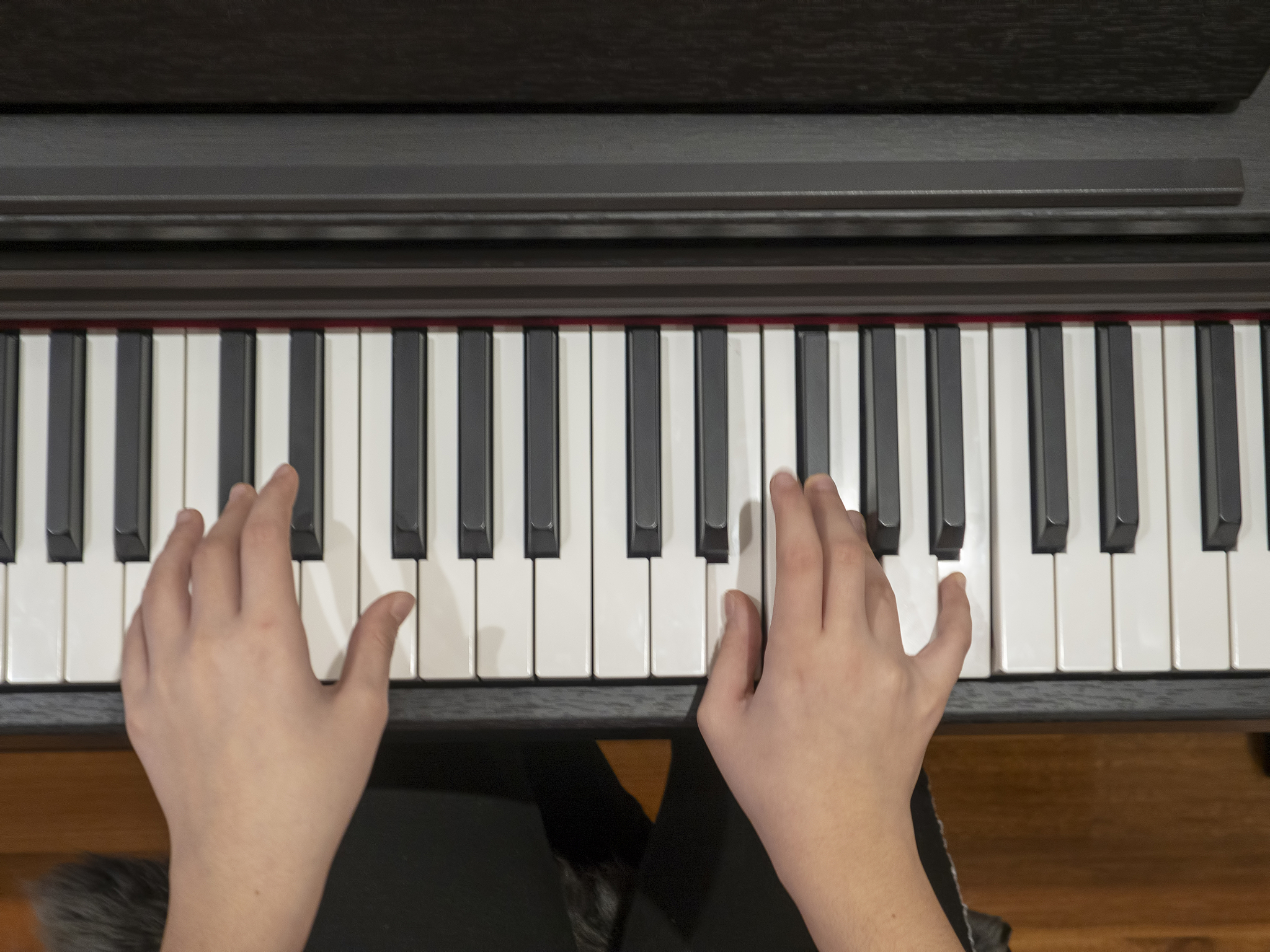 安徽黄梅戏艺术职业学院作曲技术专业怎么样