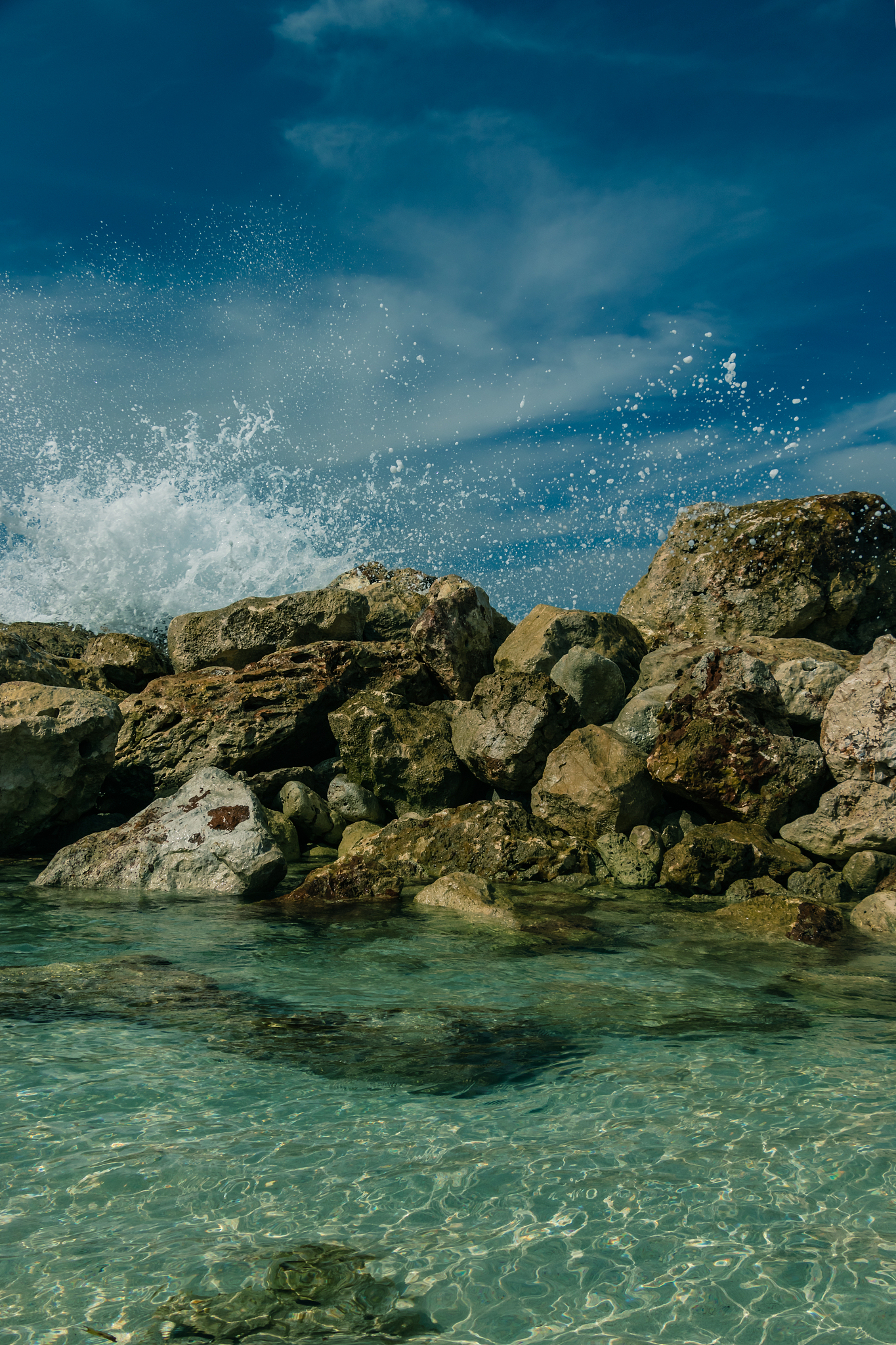 httpswallhavencc 是什么网站