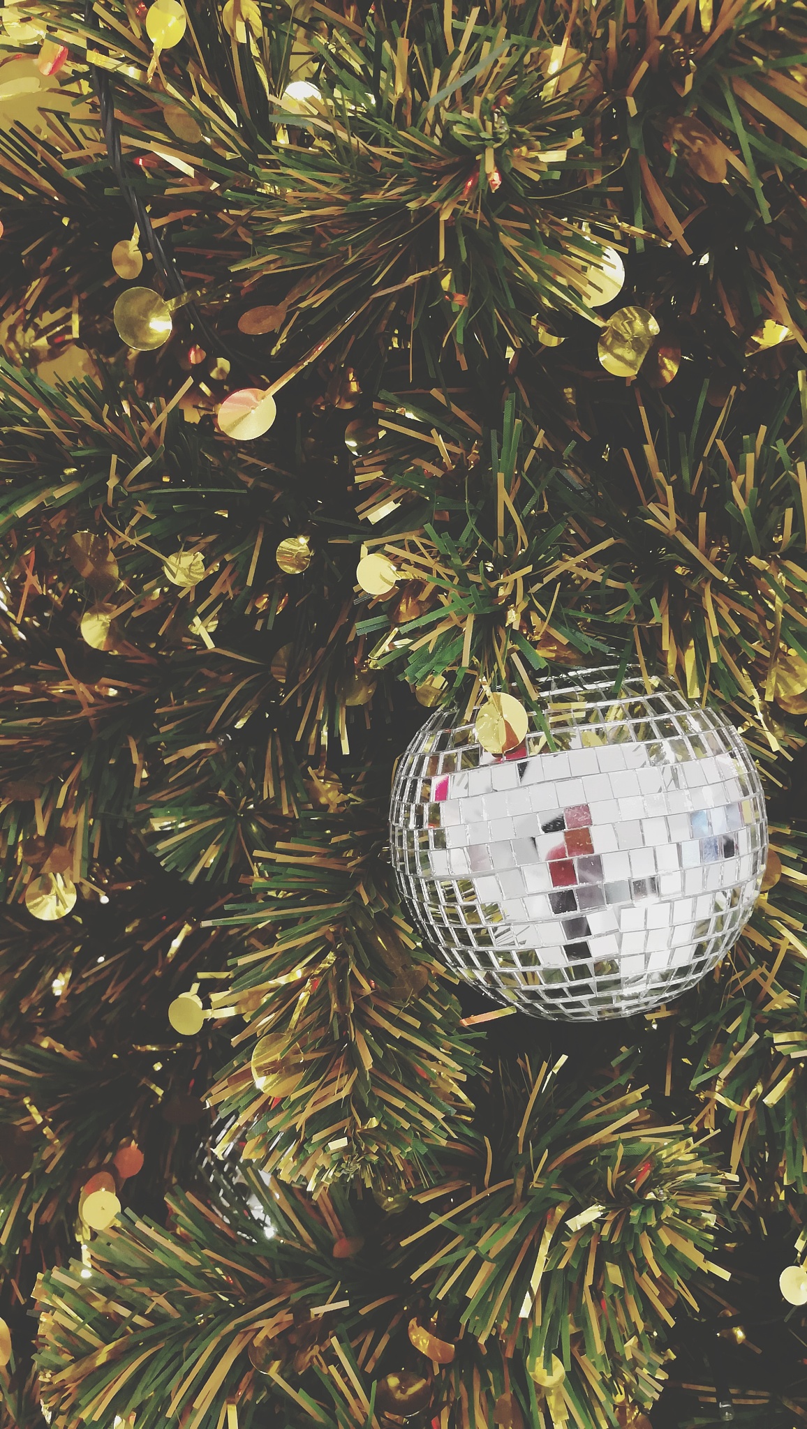 close-up of christmas tree