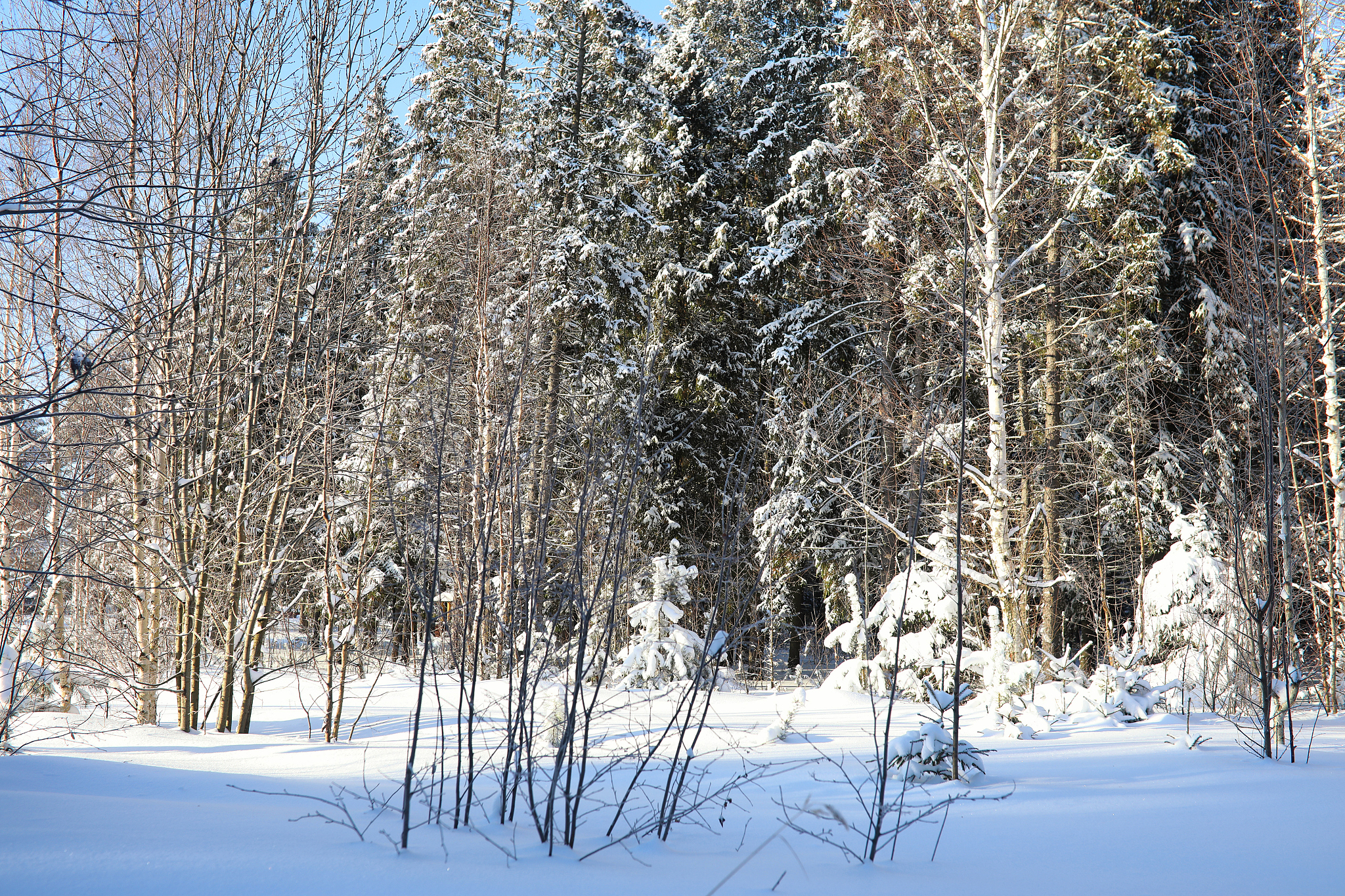 遵义重美职业技术学校学前教育专业就业方向 - 广阔前景等你探索