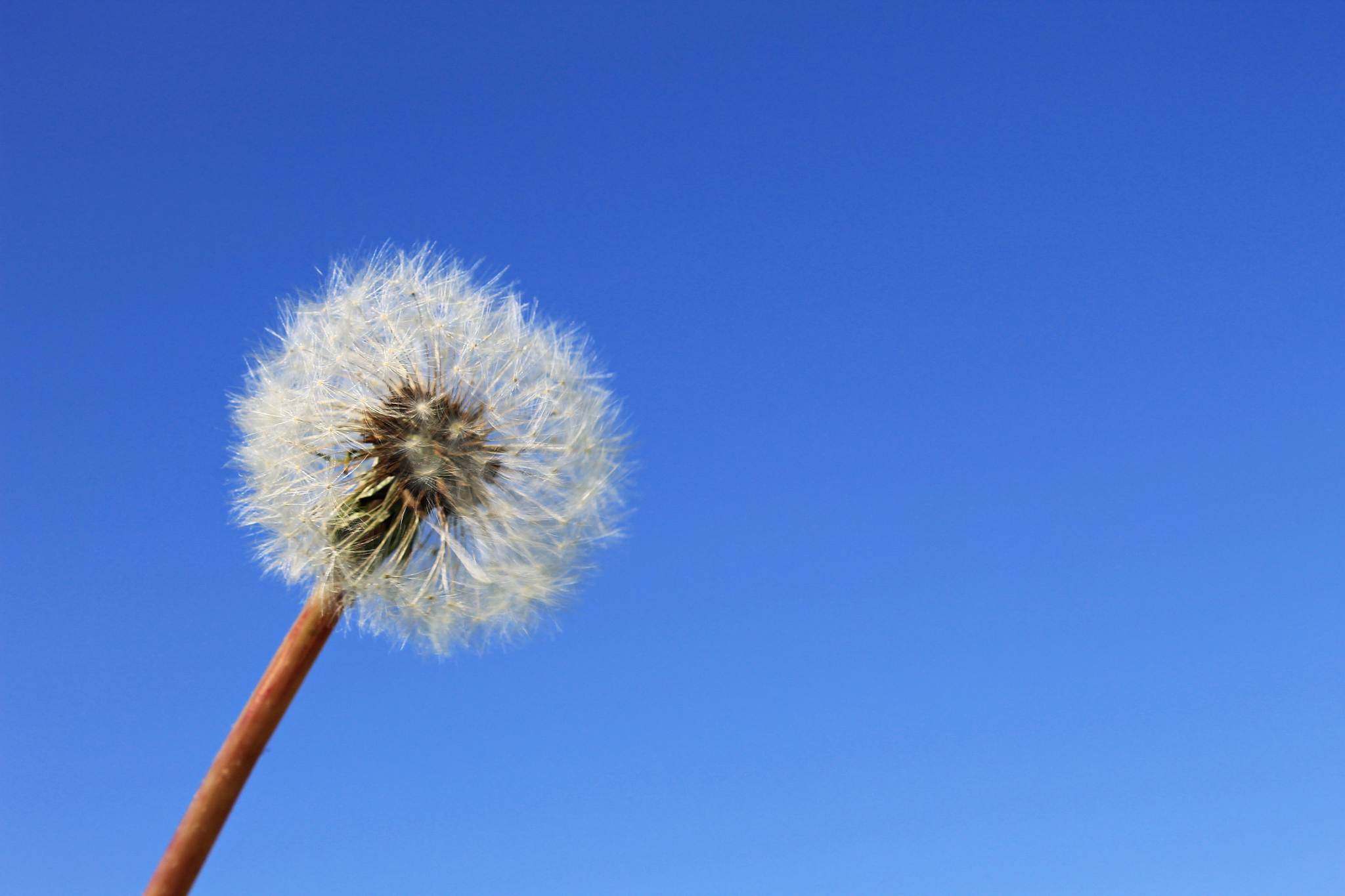 武威职业学院种子生产与经营专业：课程设置与未来发展