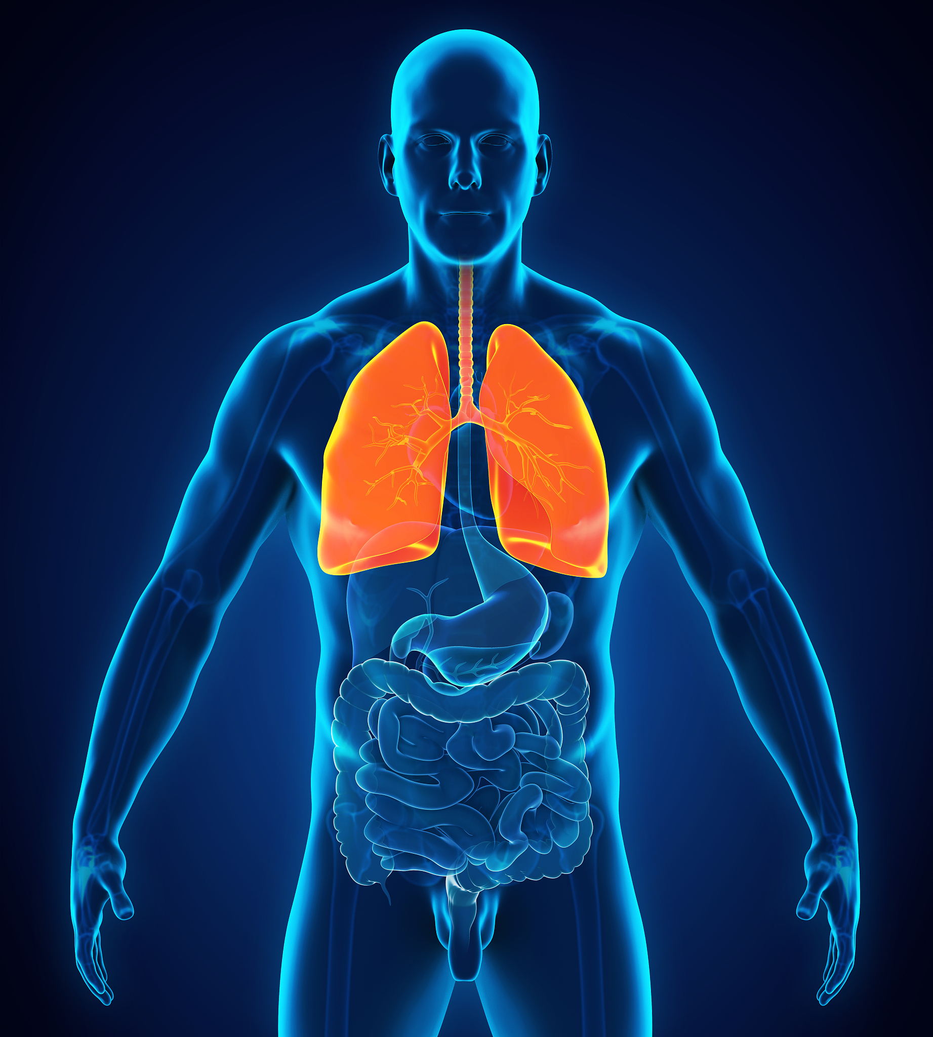 支气管炎和肺炎的区别:症状、病因、检查等方面