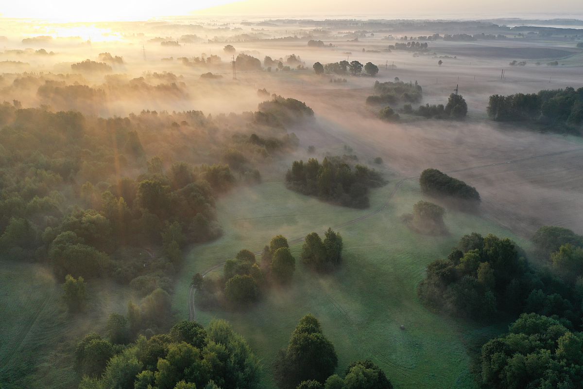 清晨后山美景：如梦似幻的仙境 - 体验大自然的宁静与活力