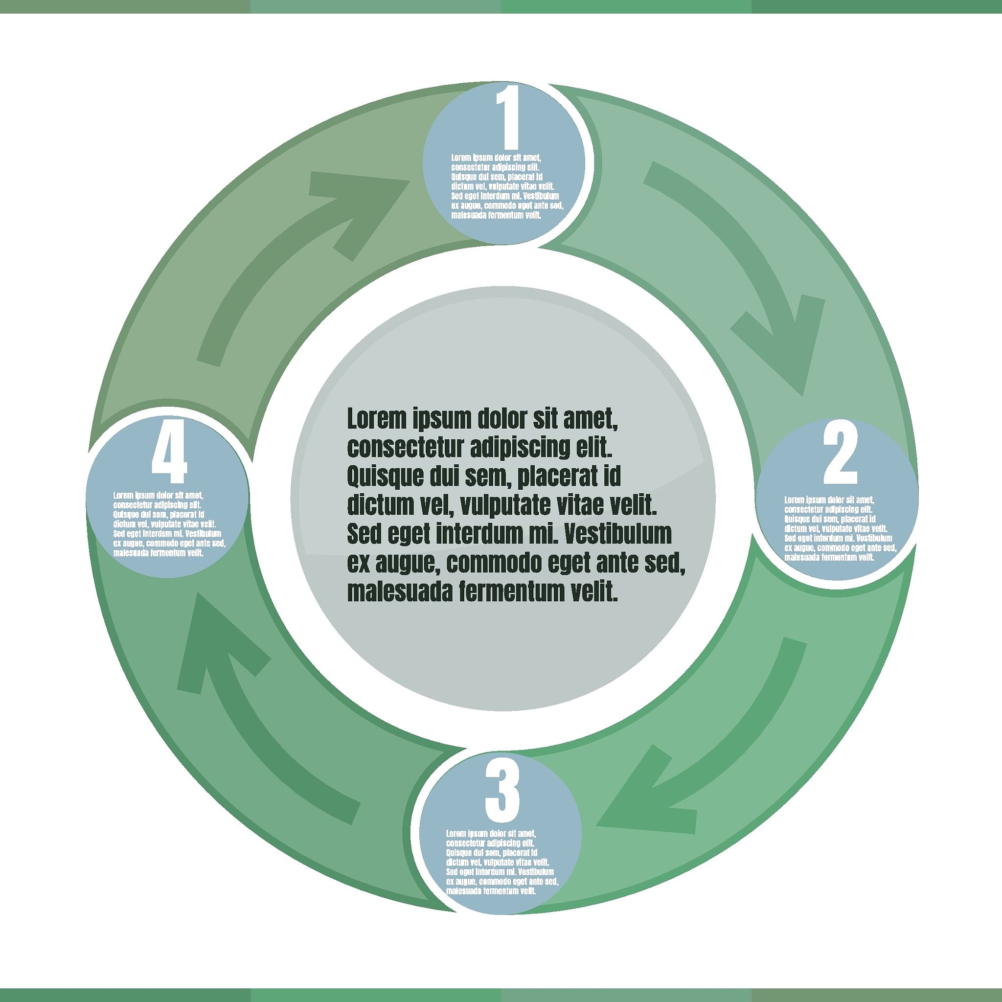 circle info graphic template present vector
