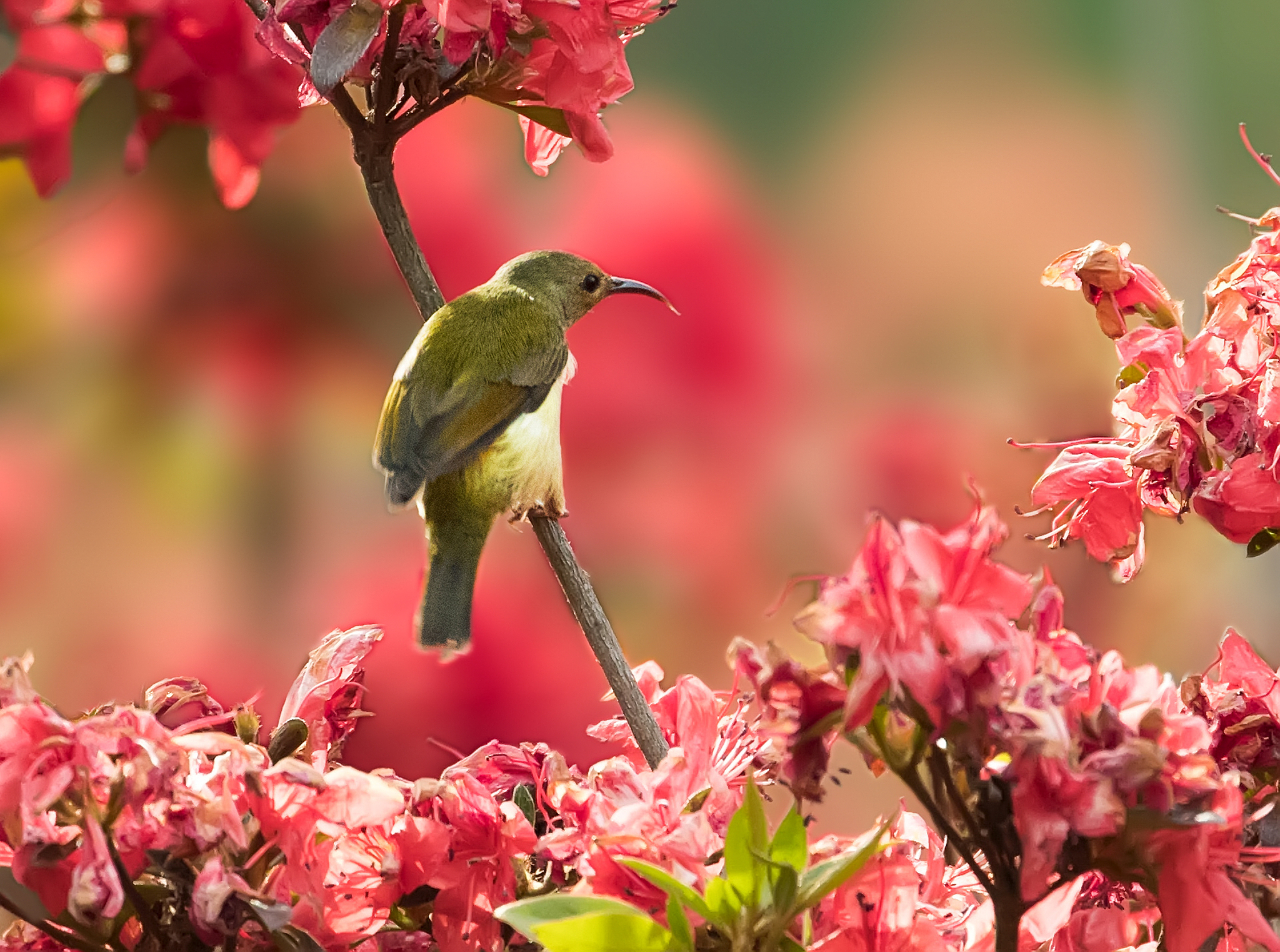 楚雄初中生如何选择中专学校？热门专业、师资力量、实践环境等因素解析