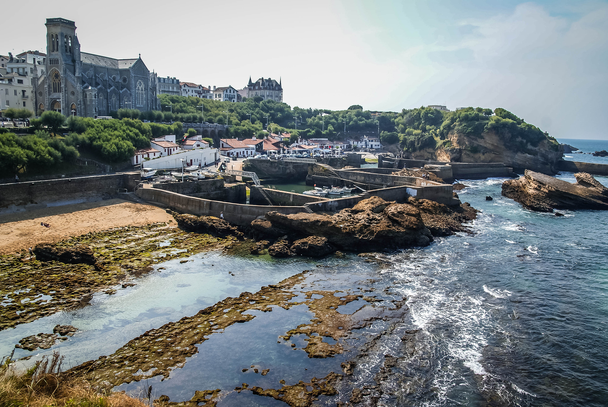 坚持梦想的小鸟：克服困难，唱出美好歌声