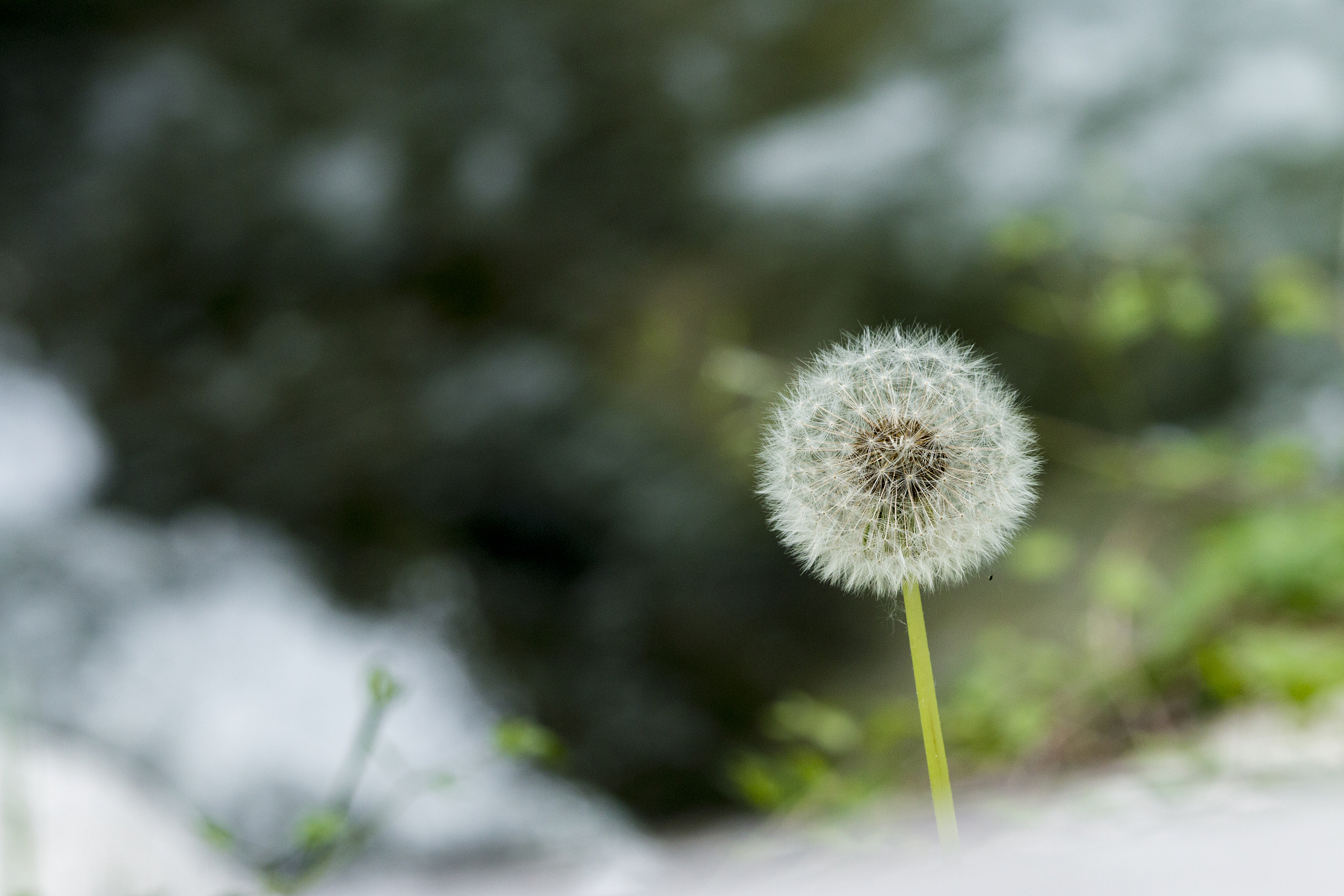 杨凌职业技术学院园艺技术专业可以选择哪些就业方向