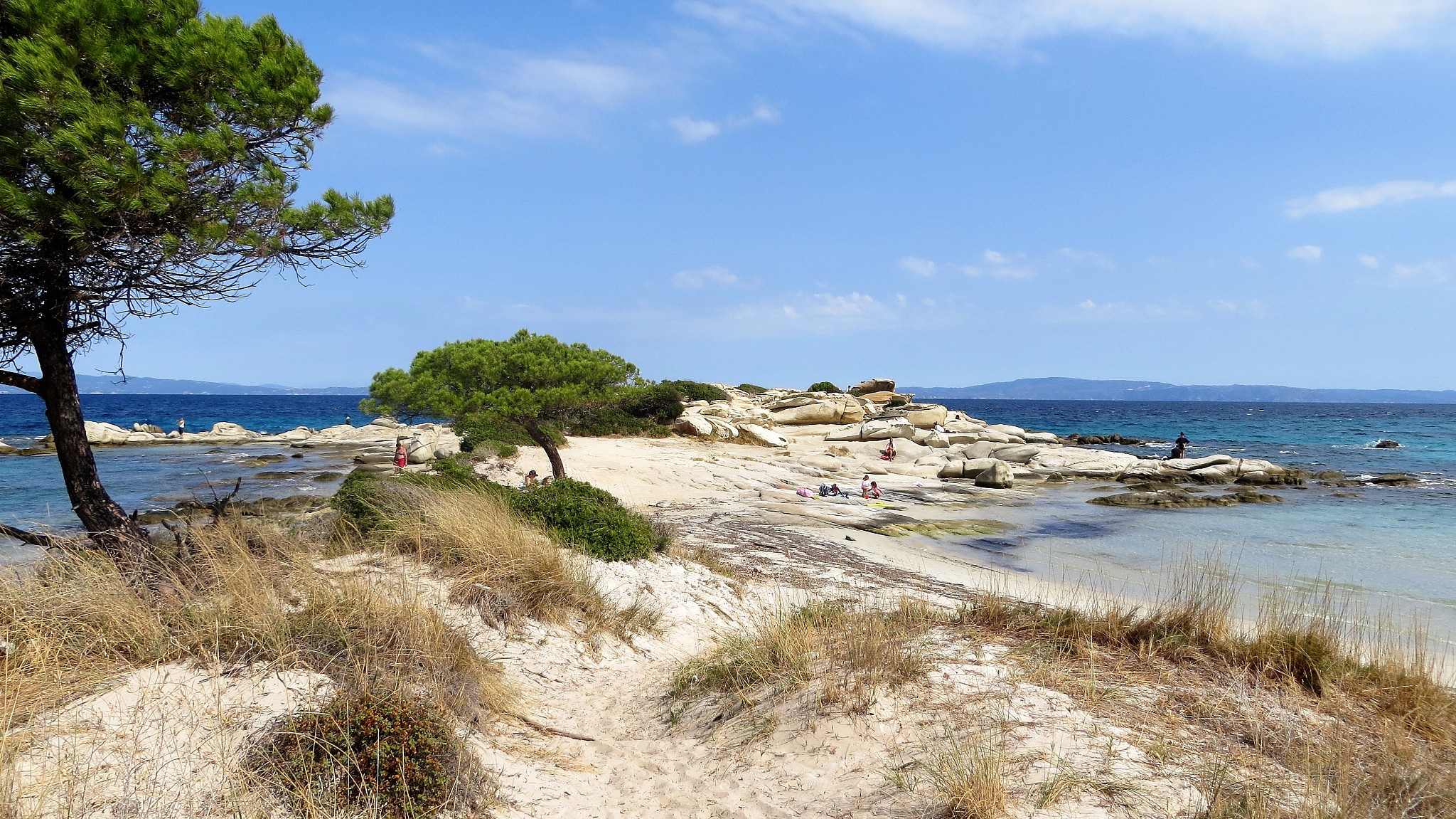 黑龙江职校旅游服务与管理专业就业前景怎么样