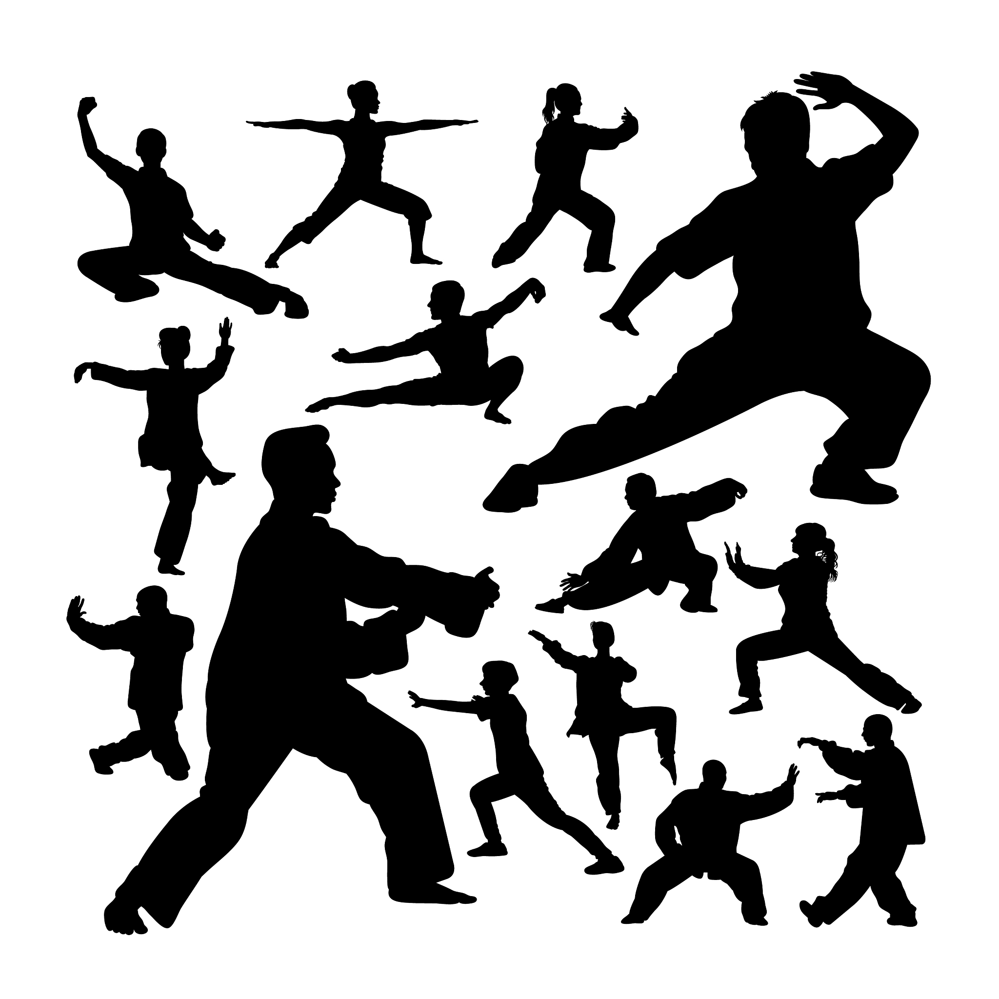 武术：中国传统武术的魅力与精髓