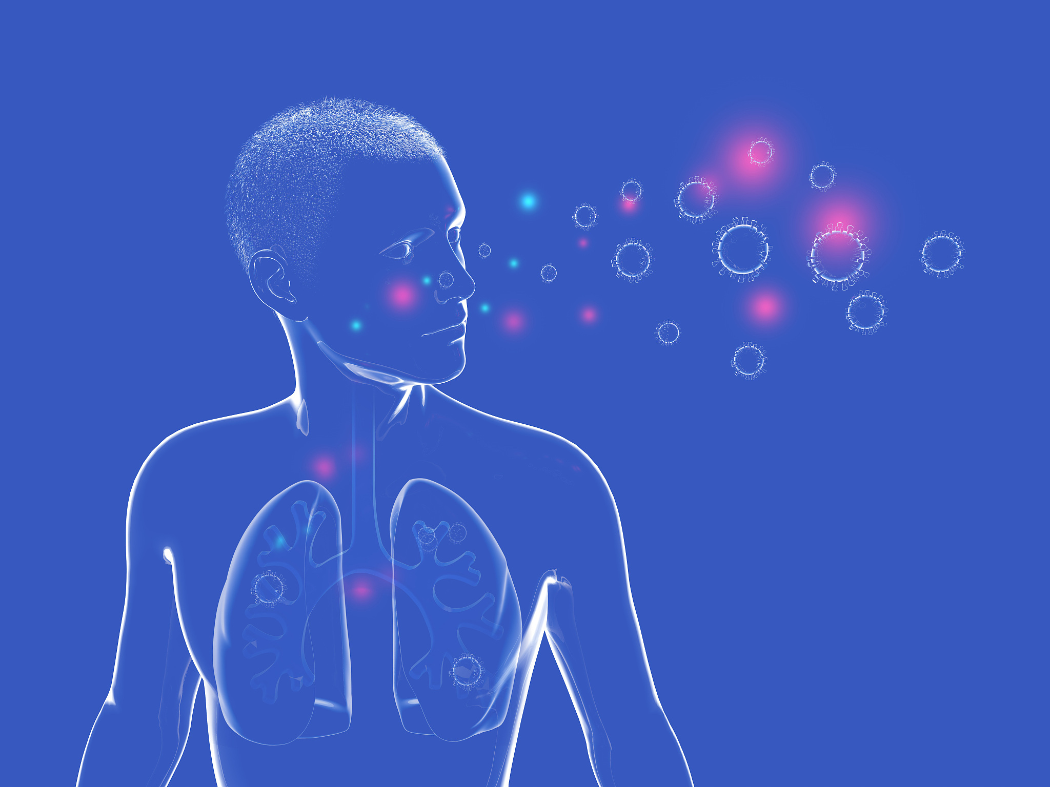 三维生物为什么不能在二维世界生存
