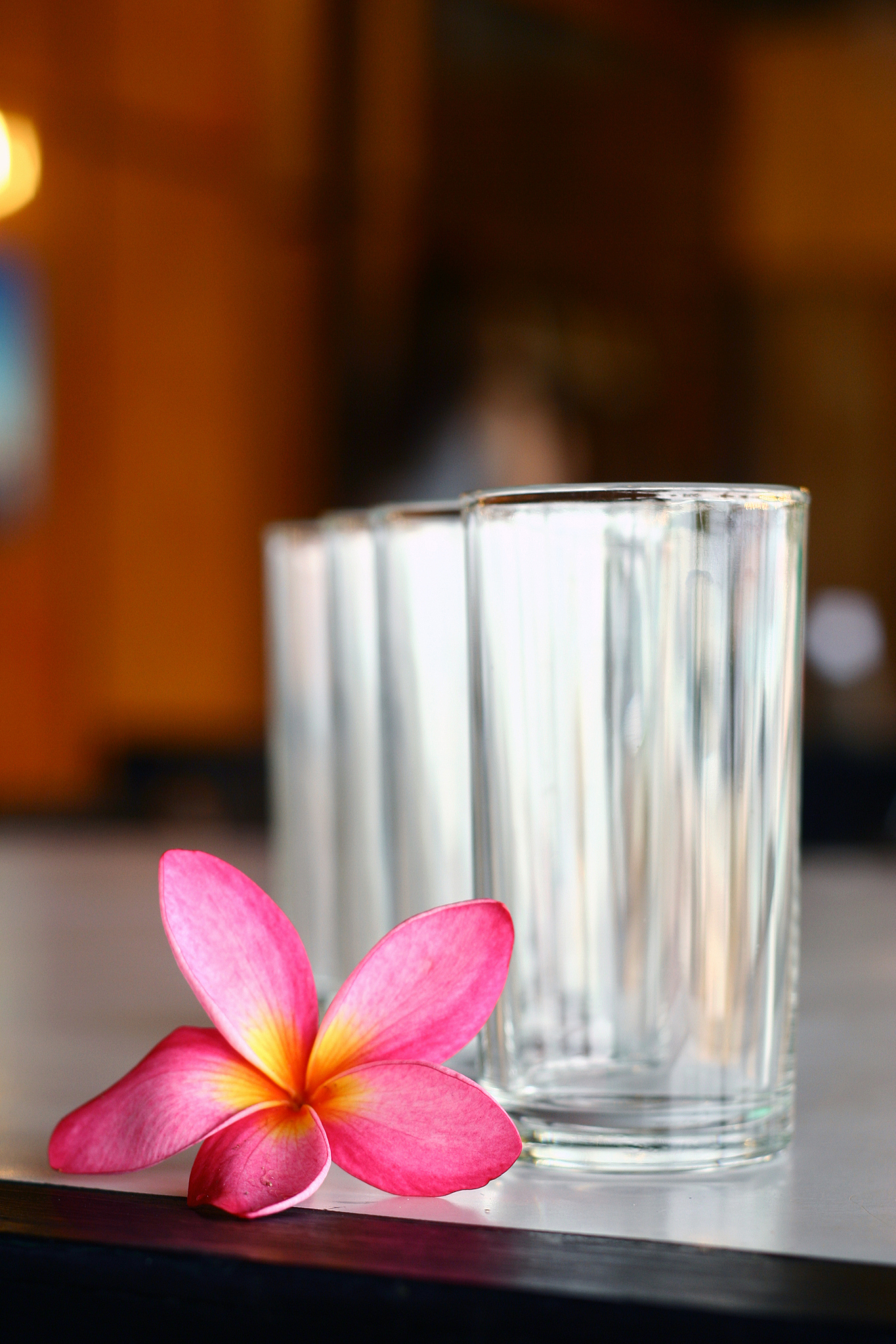 single flower