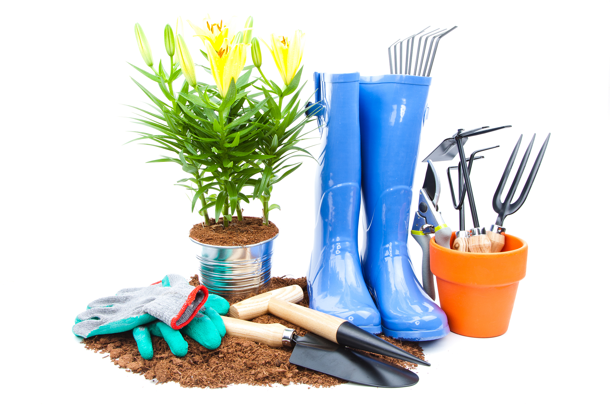 Garden Supplies - Everything You Need for Your Garden