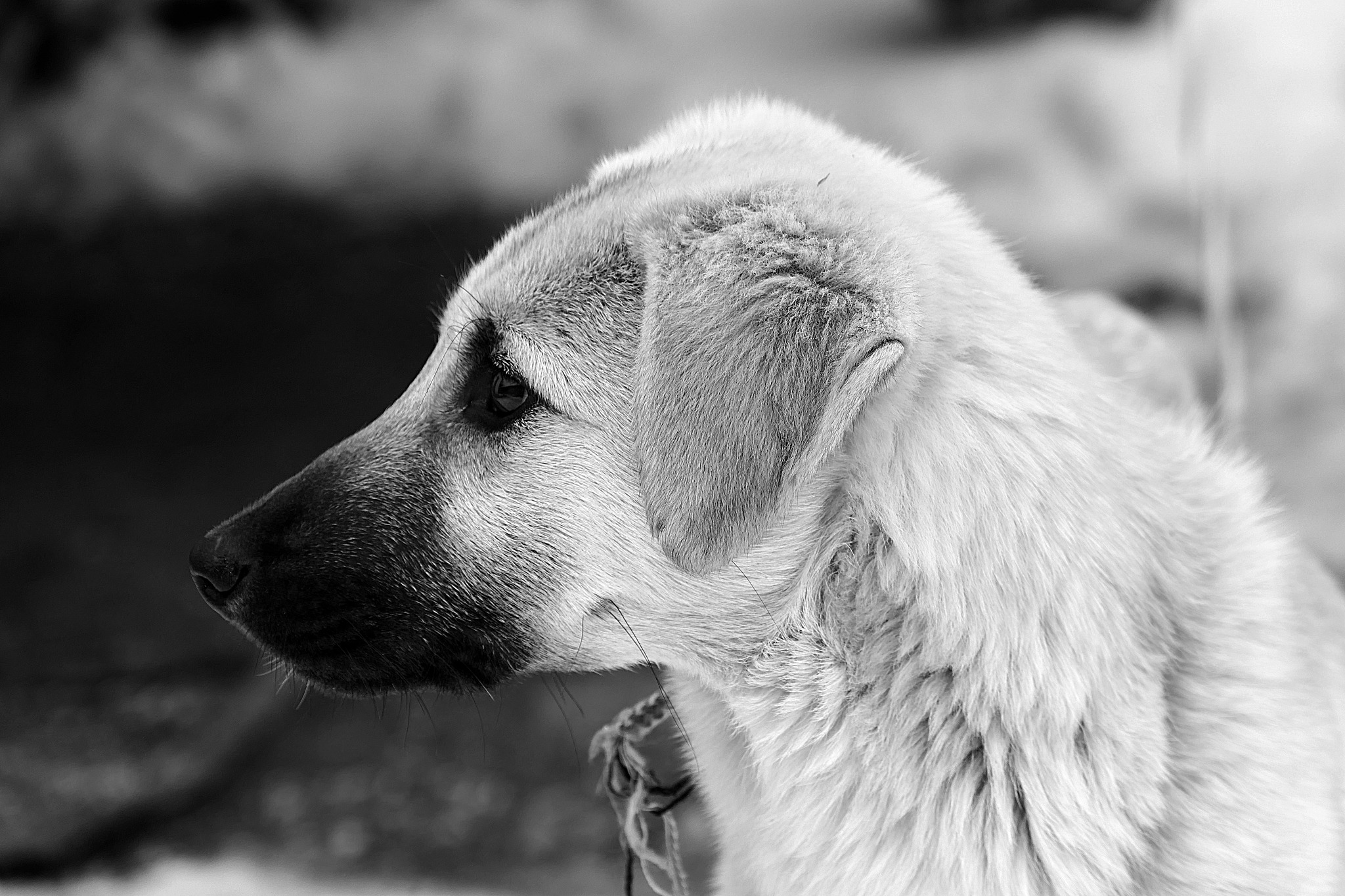 写一个Java订单状态机