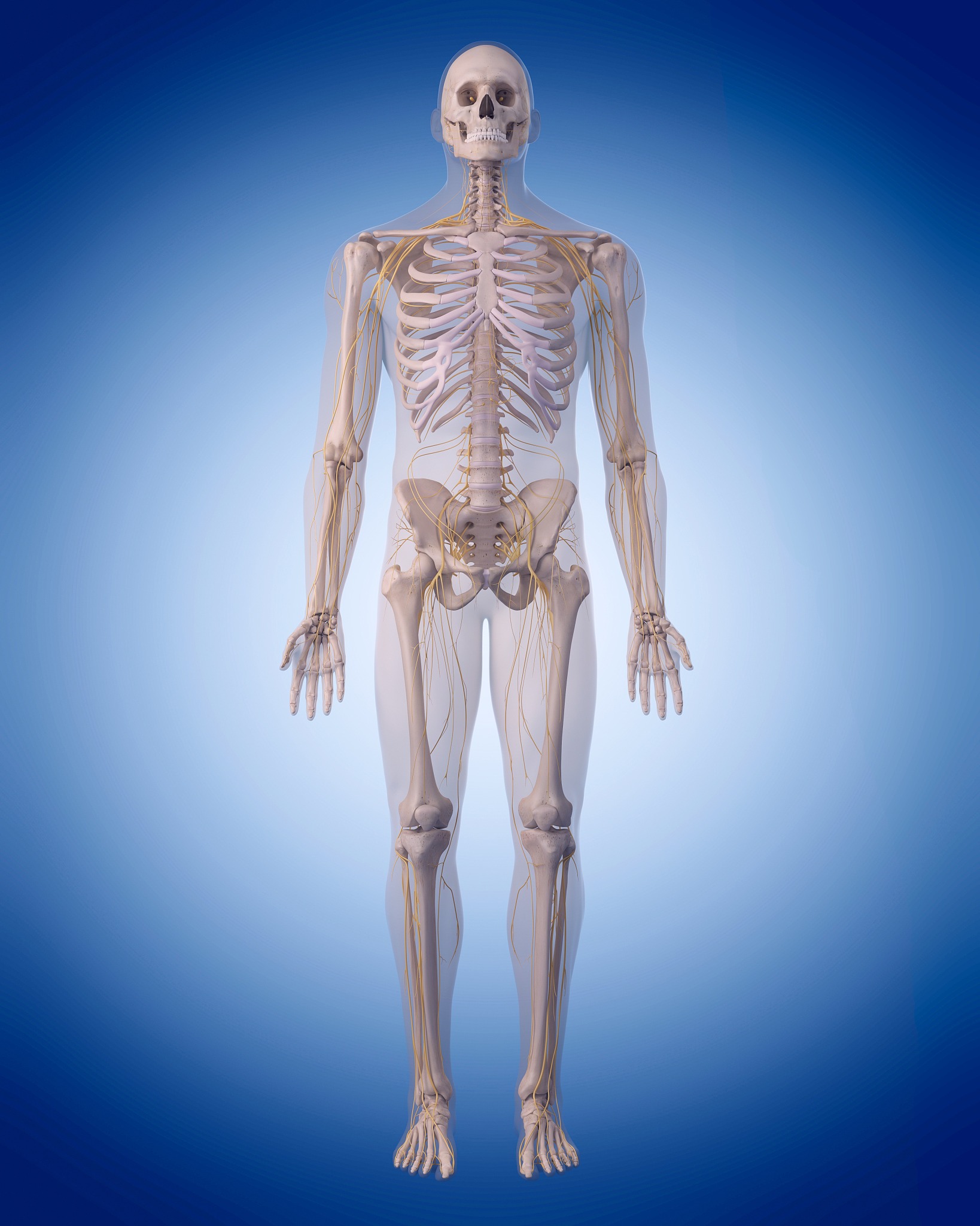 假设你是一名SEO请你润色这篇以缺钙会出现什么症状的文章使这篇文章通顺流畅、有逻辑、无语病更专业化并使关键词多次重复出现。随着现代我国生活方式和饮食习惯的改变缺钙已经成为一个普遍存在的问题。缺钙不仅会影响骨骼的健康还可能导致一系列其他健康问题。本文将探讨缺钙会出现什么症状以及如何预防和如何补钙。缺钙是指体内钙的储备不足或摄入不足。钙是人体内最重要的矿物质之一它不仅是骨骼的构成成分还参与了神经传导、