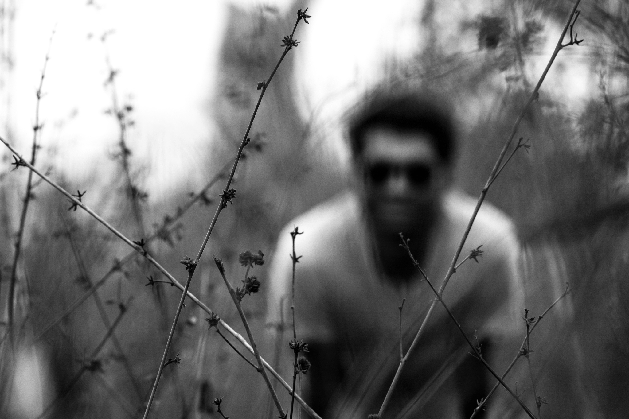 close-up of plants with man in background