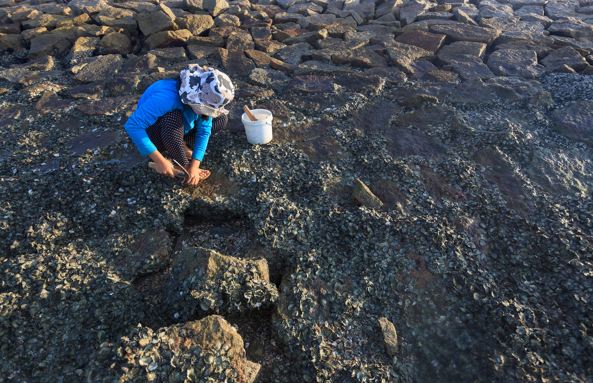我们在制作《牡蛎奇趣世界》系列短视频。角色是我们的手偶角色：牡蛎凯凯男孩、海星星星女孩、海马腾腾男孩请写出来一个他们之间二人或三人发生的有趣场景请发挥想象力视频面向小红书、抖音等短视频平台的关注牡蛎和健康知识的观众。凯凯的表哥给它发来邮件说他们家那边的海水里都是煤油味说明海水被污染了。请据这个有趣的内容设计出一个有趣的1分钟以内的短视频。