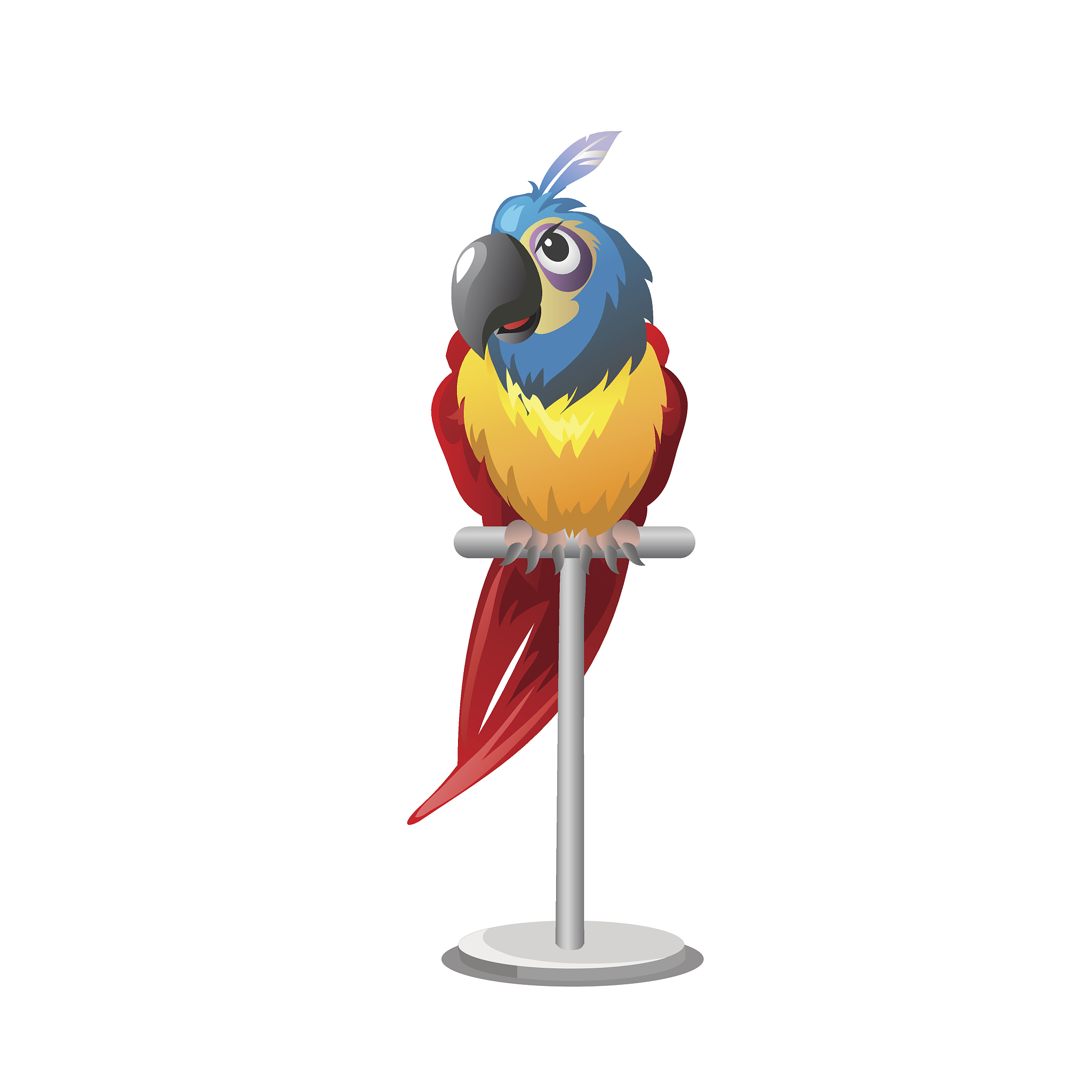 tropical colorful parrot sitting on perch