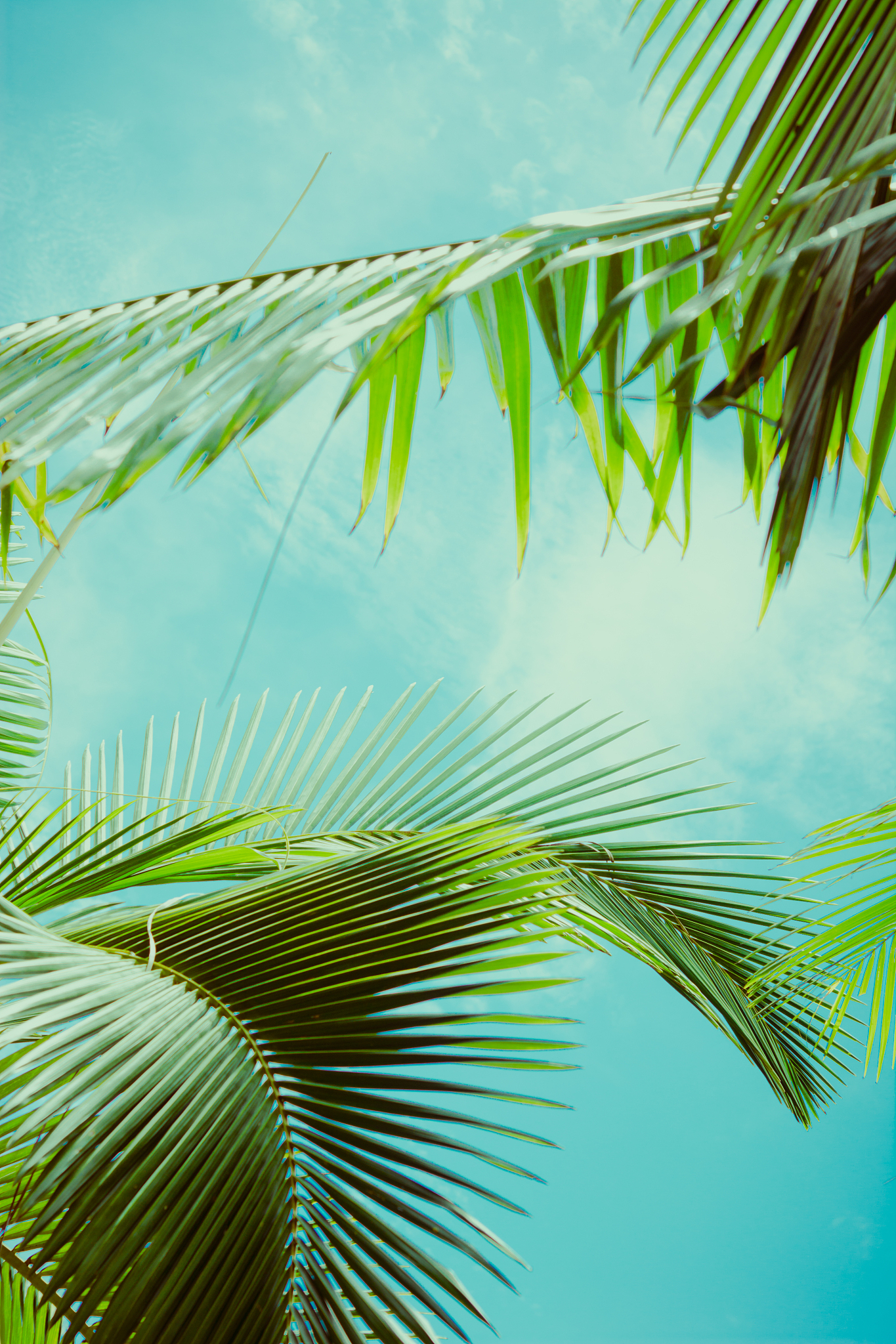 2022山西省河东旅游学校有什么专业