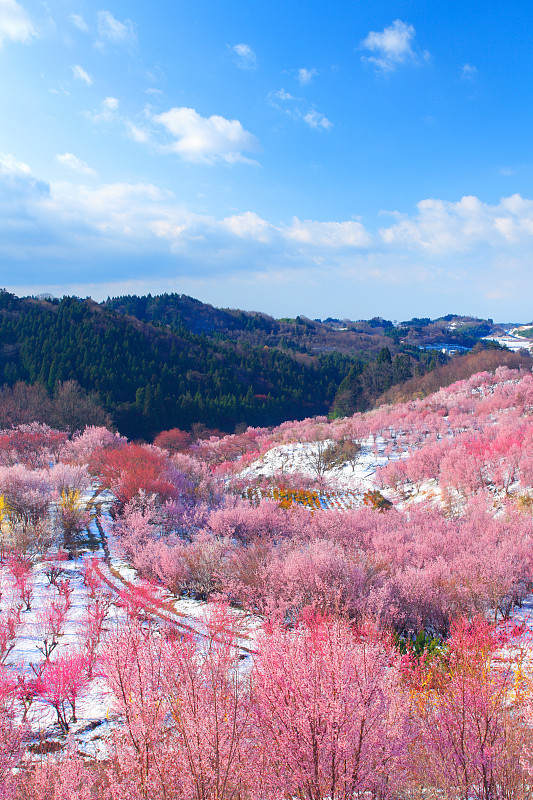 3～4月份去牛背山旅游详细攻略