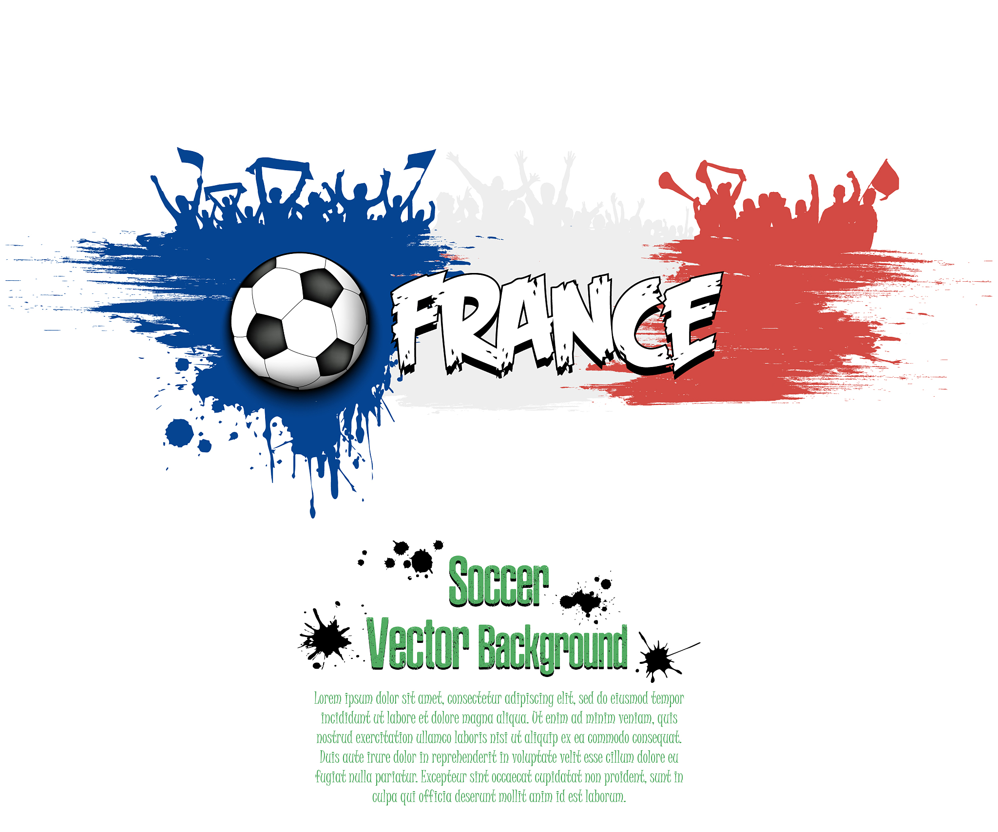 flag of france and football fans