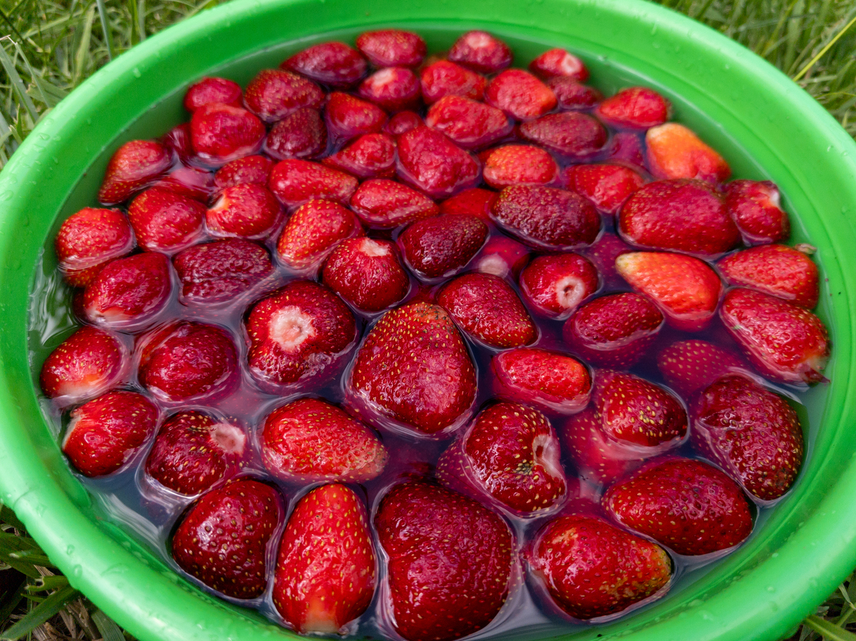 带'楂'字的4个字名字：虾楂糕糕，寓意好听又独特