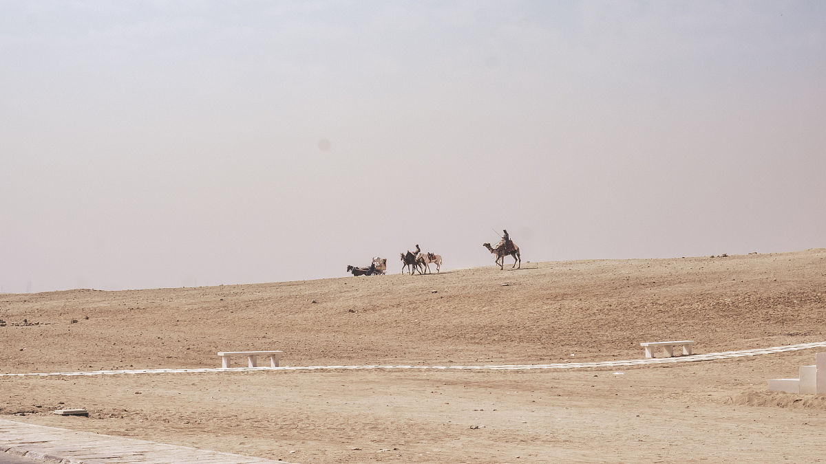 开罗森林露营之丘更新！全新地图、活动、装备及任务系统上线