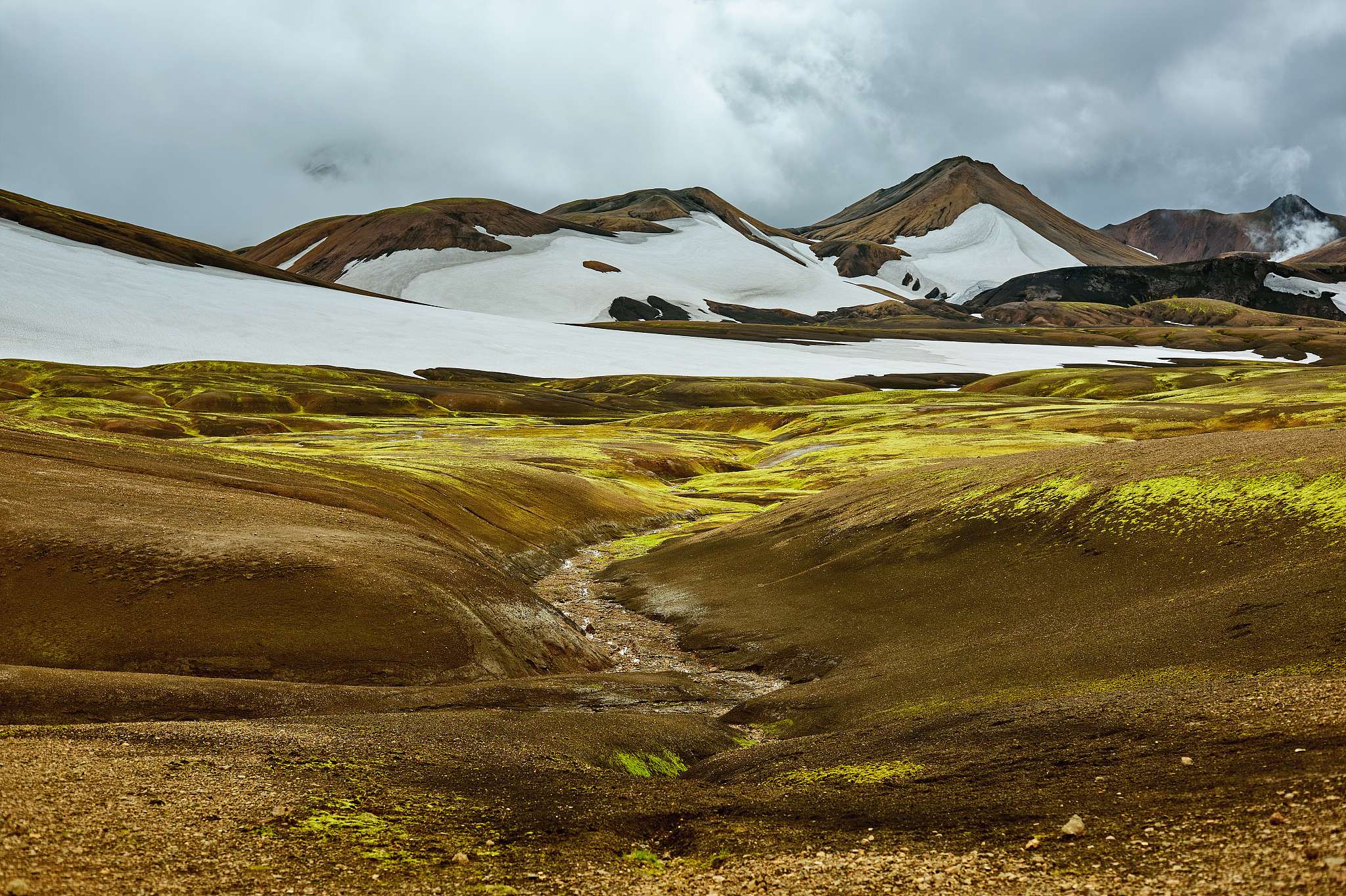 杀死幽灵手游更新日志