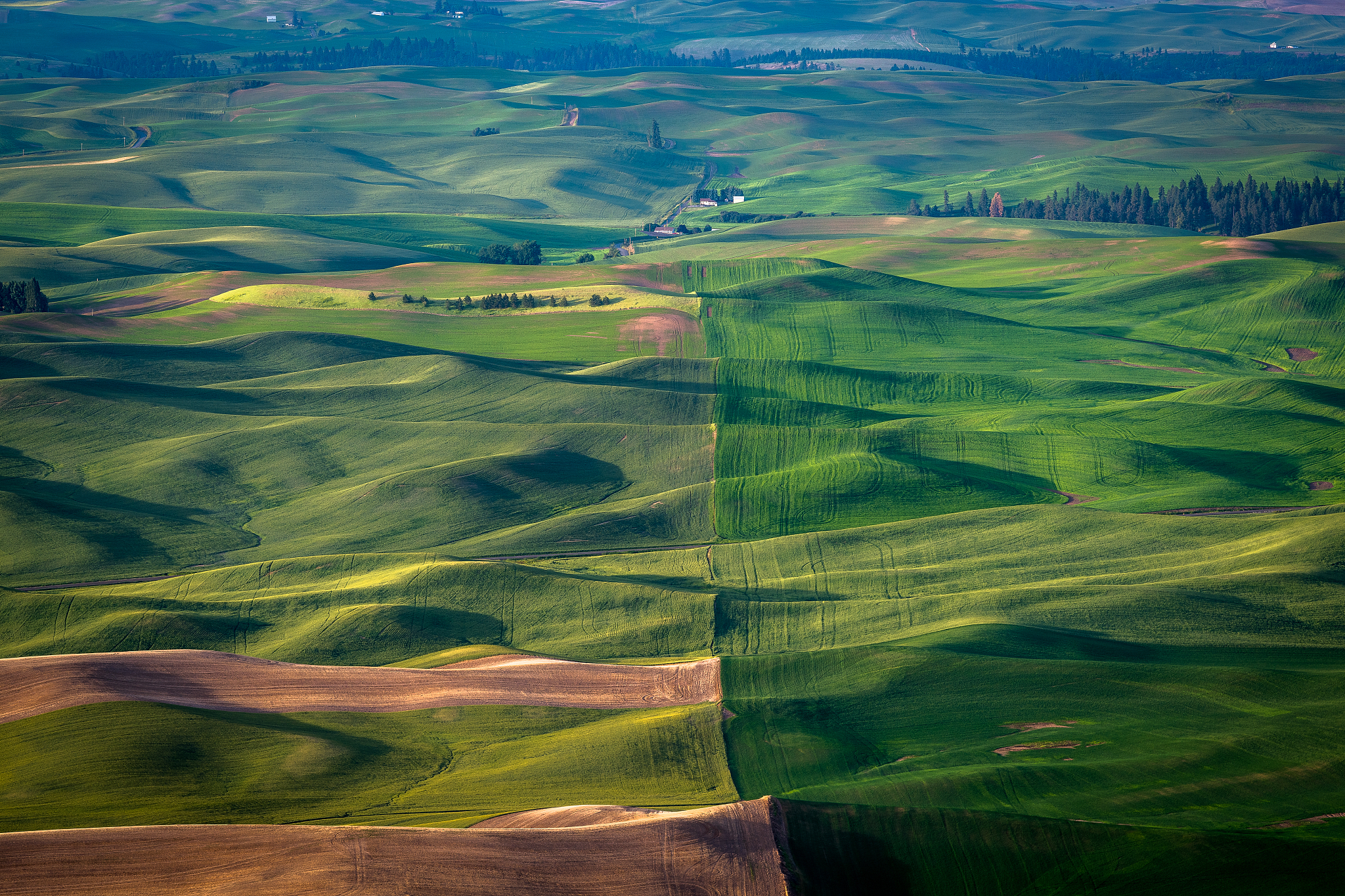 rolling landscape of fields